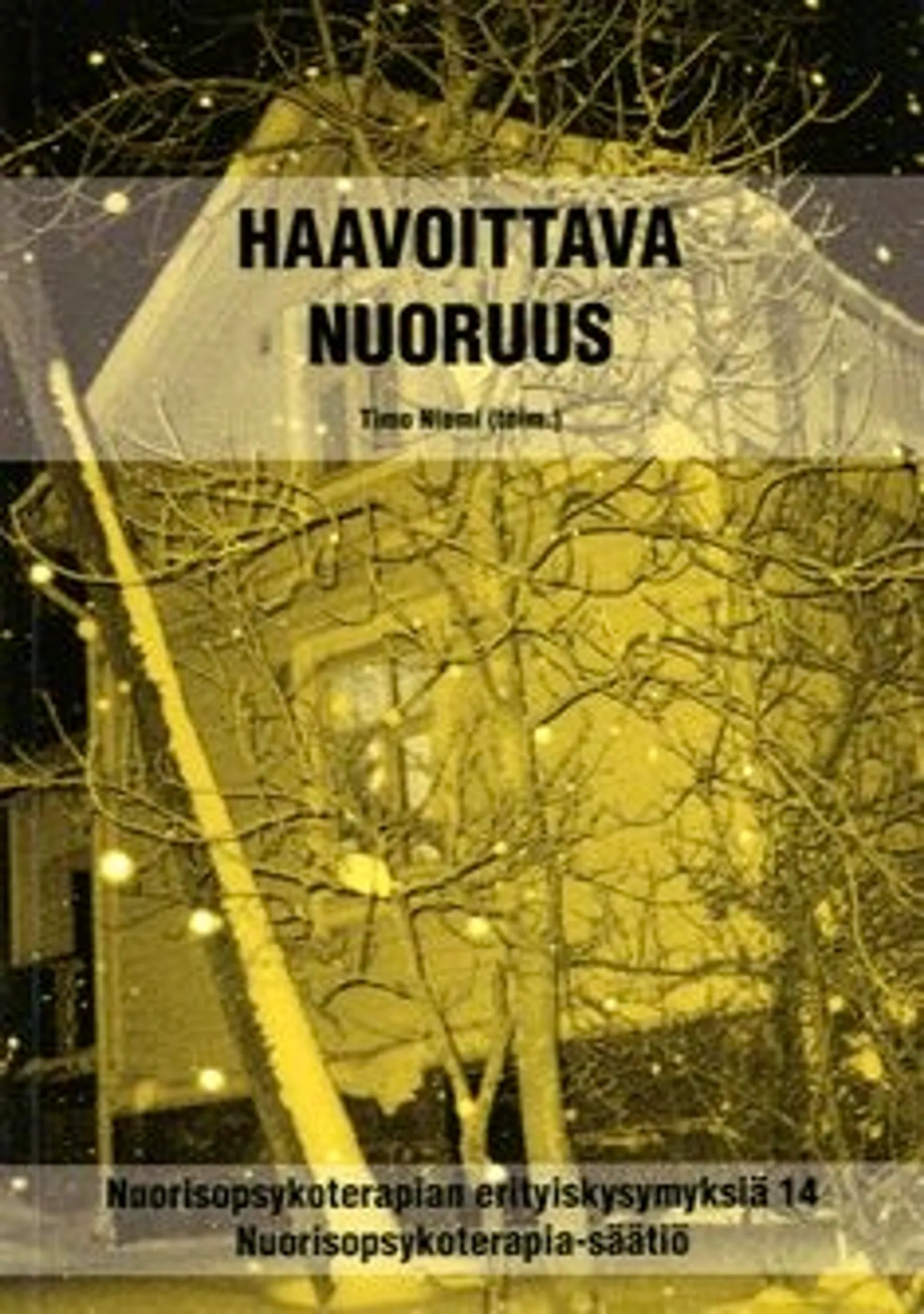 Haavoittava nuoruus - nuorisopsykoterapian erityiskysymyksiä 14