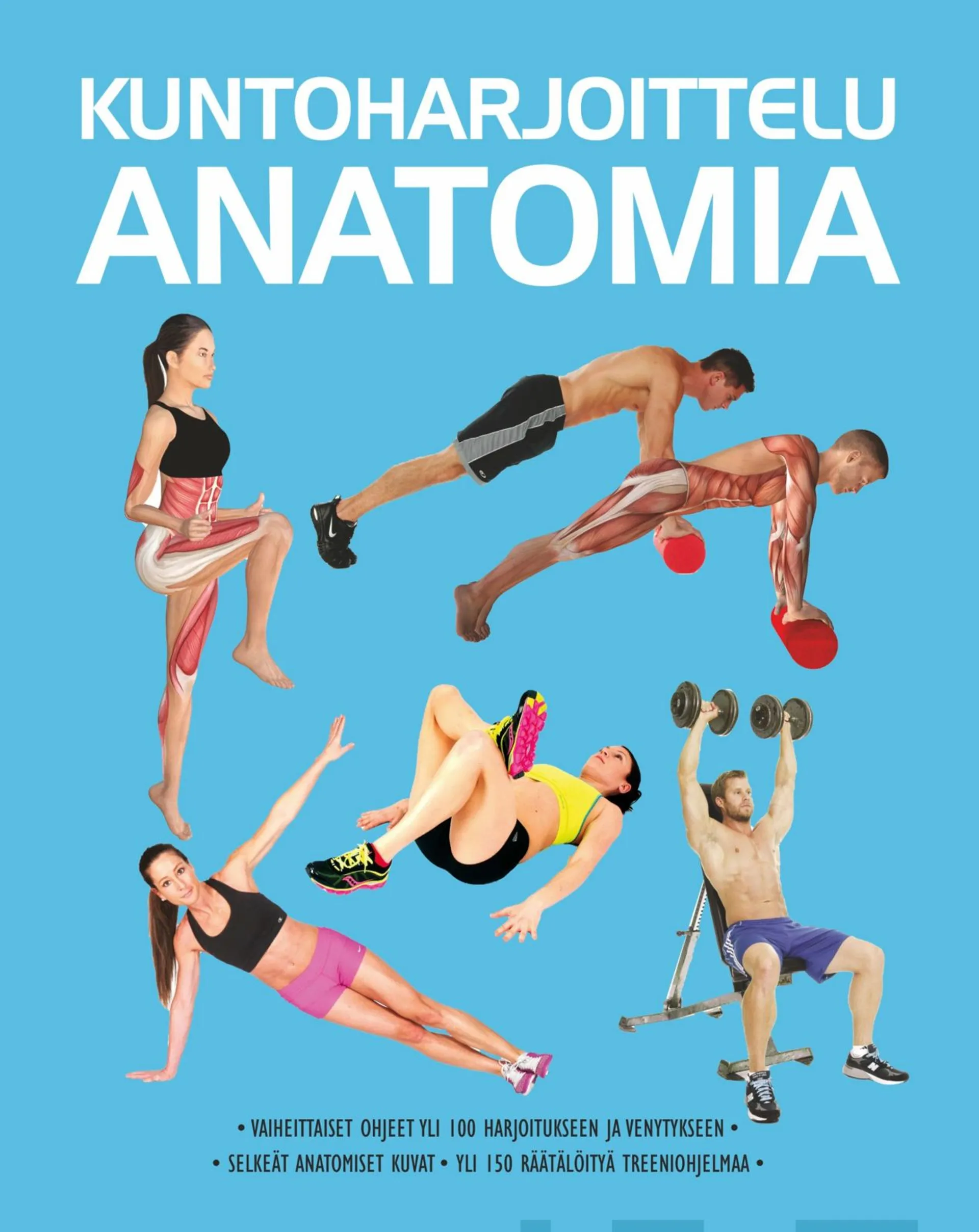 Hollis, Kuntoharjoittelu - Anatomia