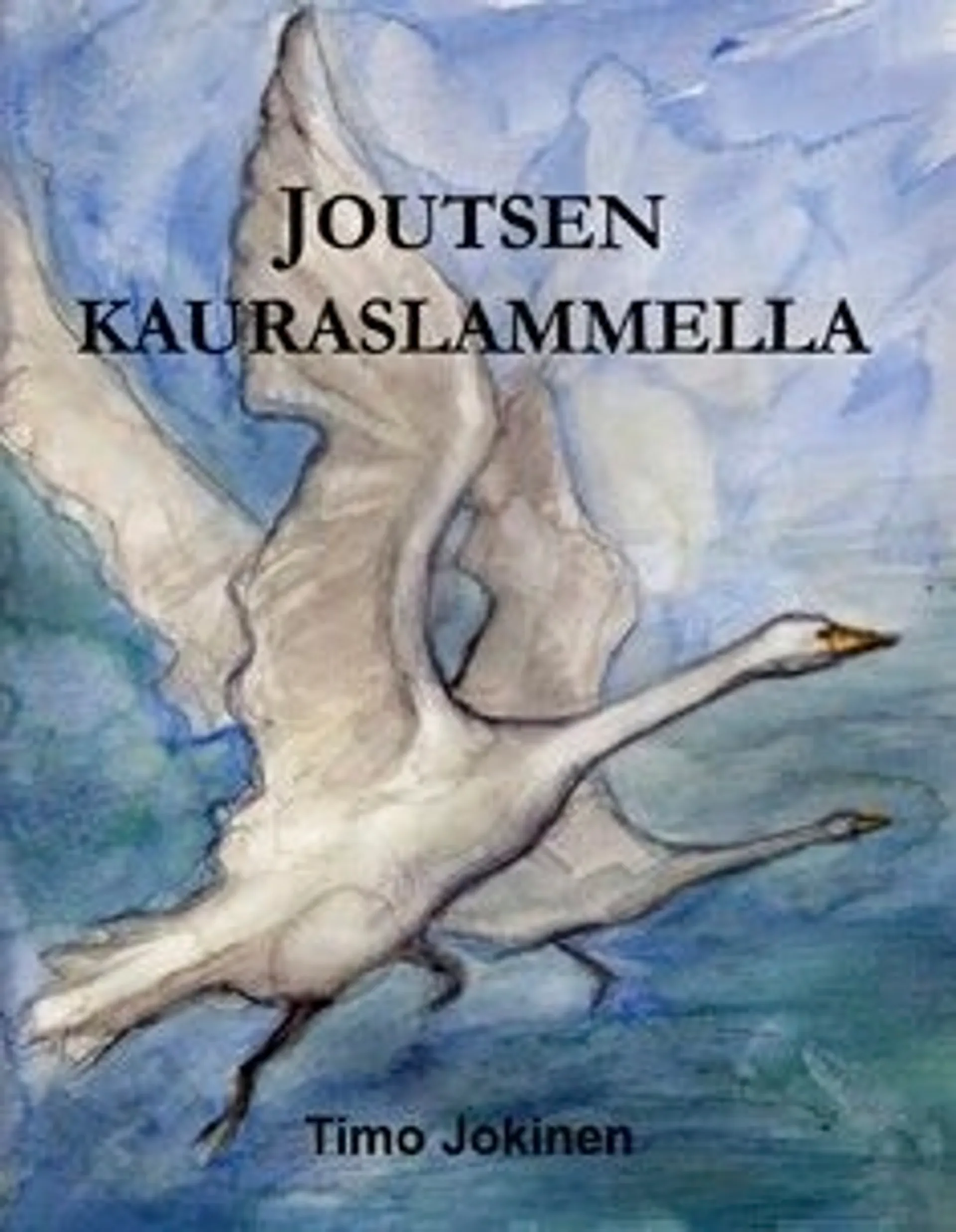 Jokinen, Joutsen Kauraslammella