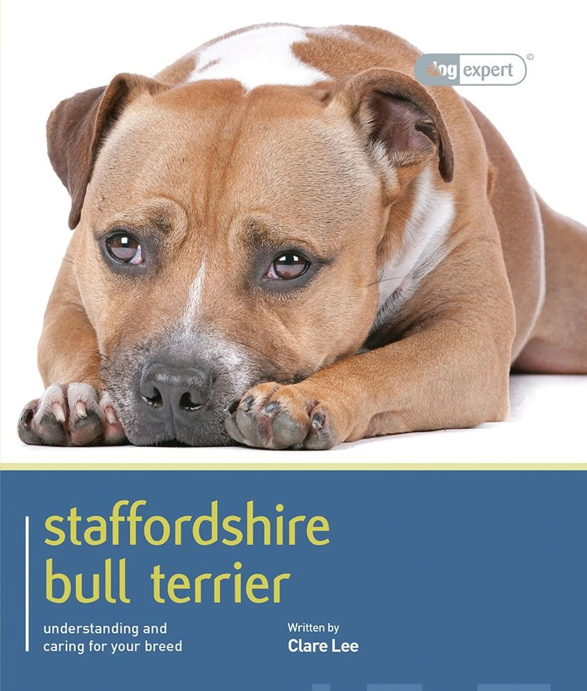 Lee, Staffordshire Bull Terrier - Understanding and caring for your breed