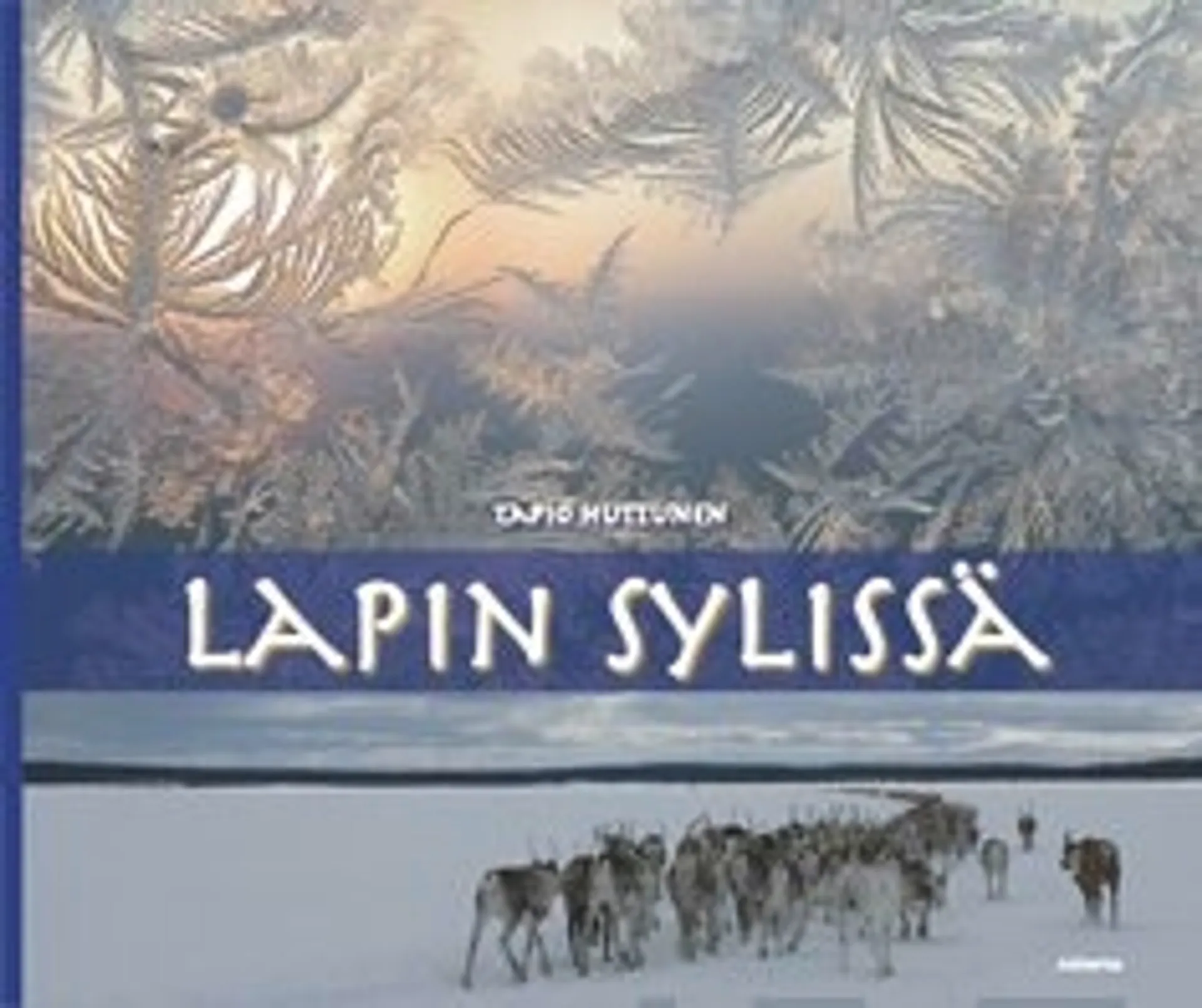 Lapin sylissä