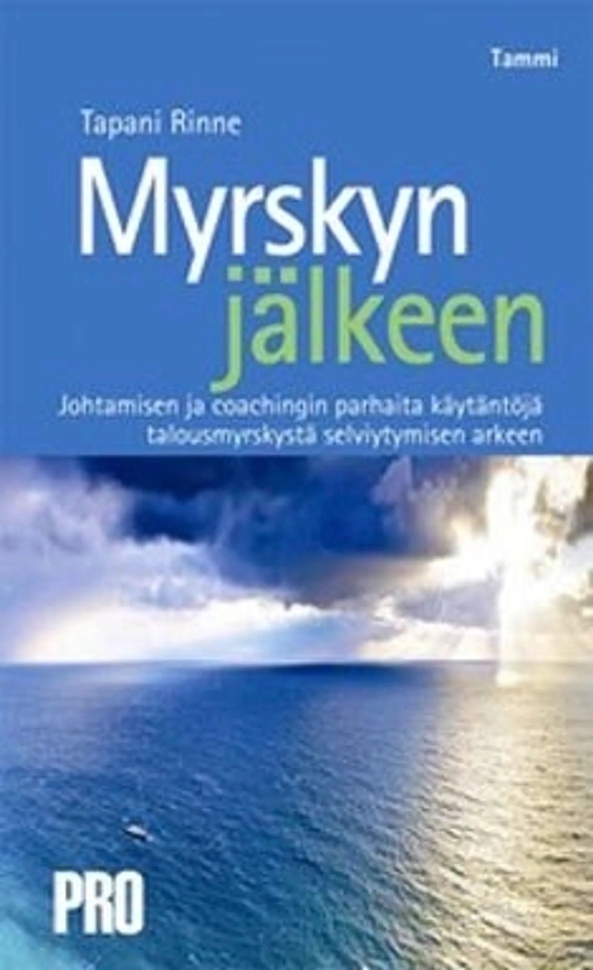 Myrskyn jälkeen