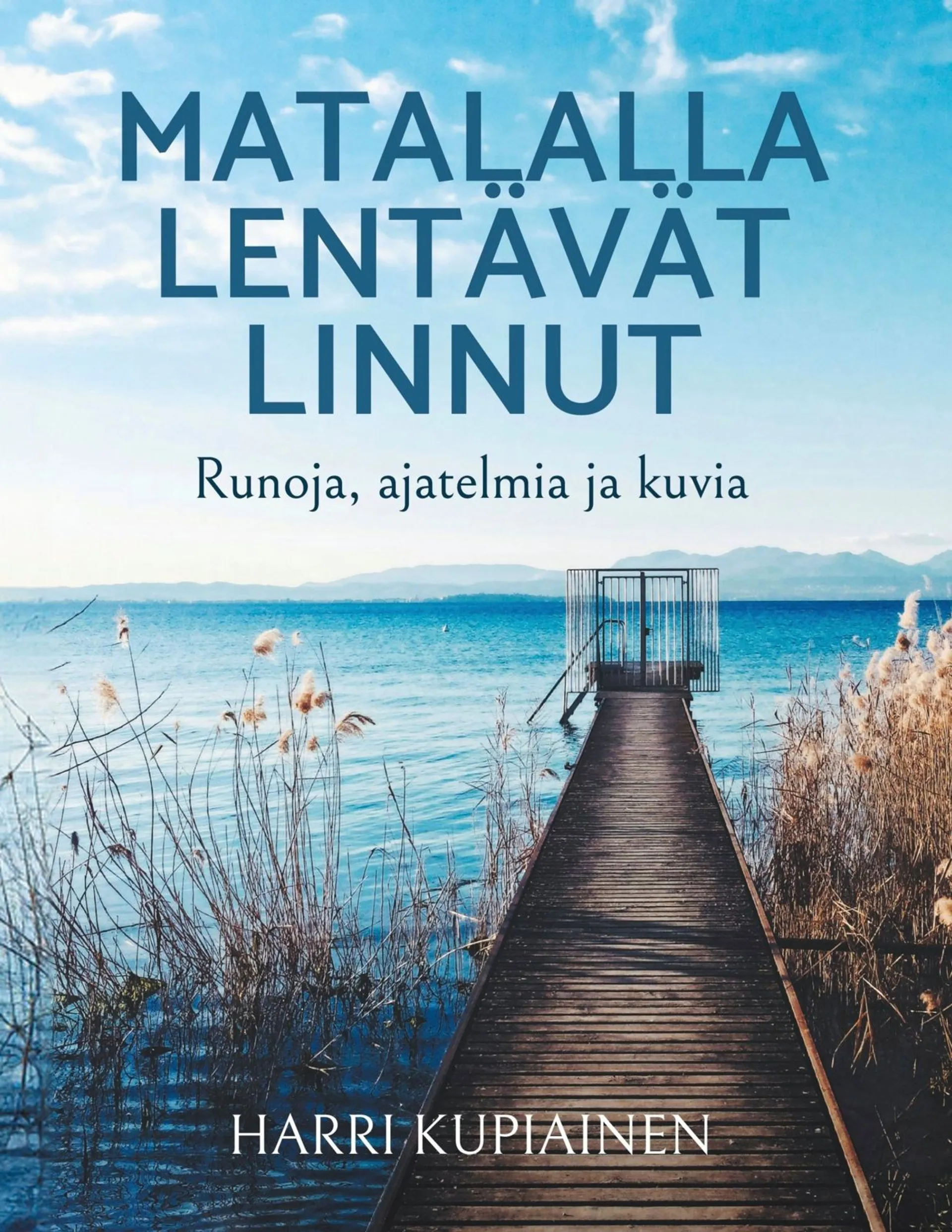 Matalalla lentävät linnut