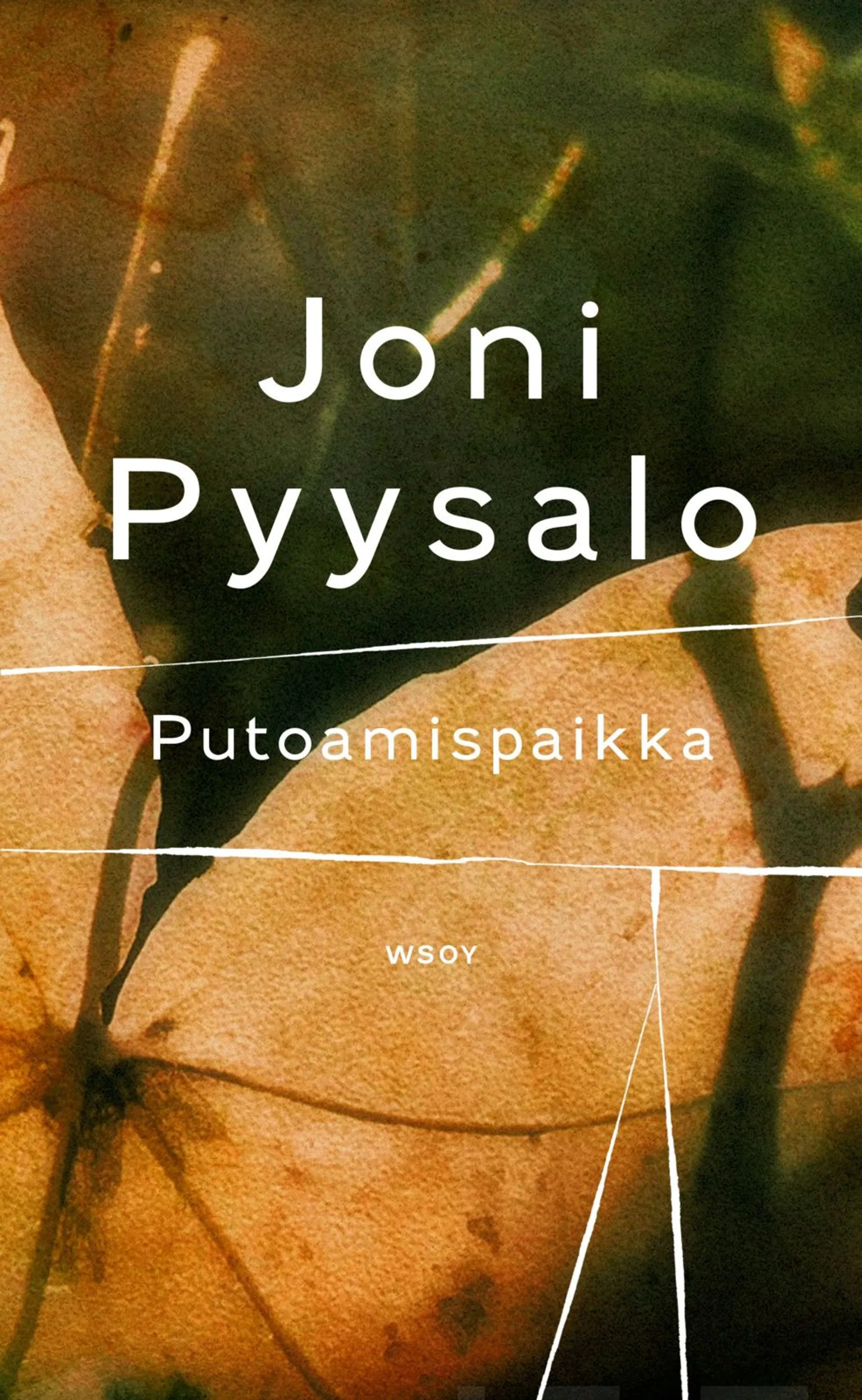 Pyysalo, Putoamispaikka - Romaani