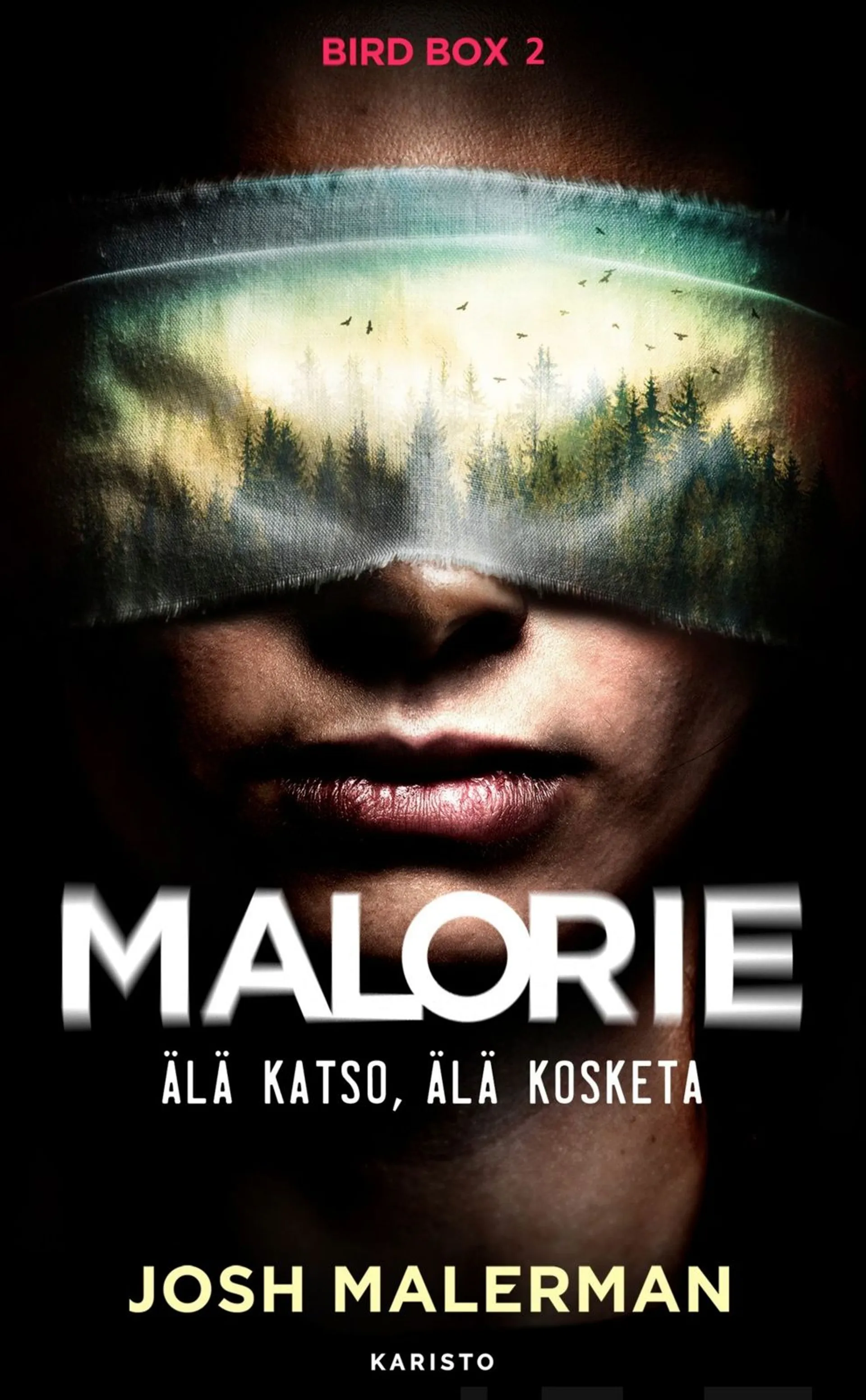 Malerman, Malorie - Älä katso, älä kosketa