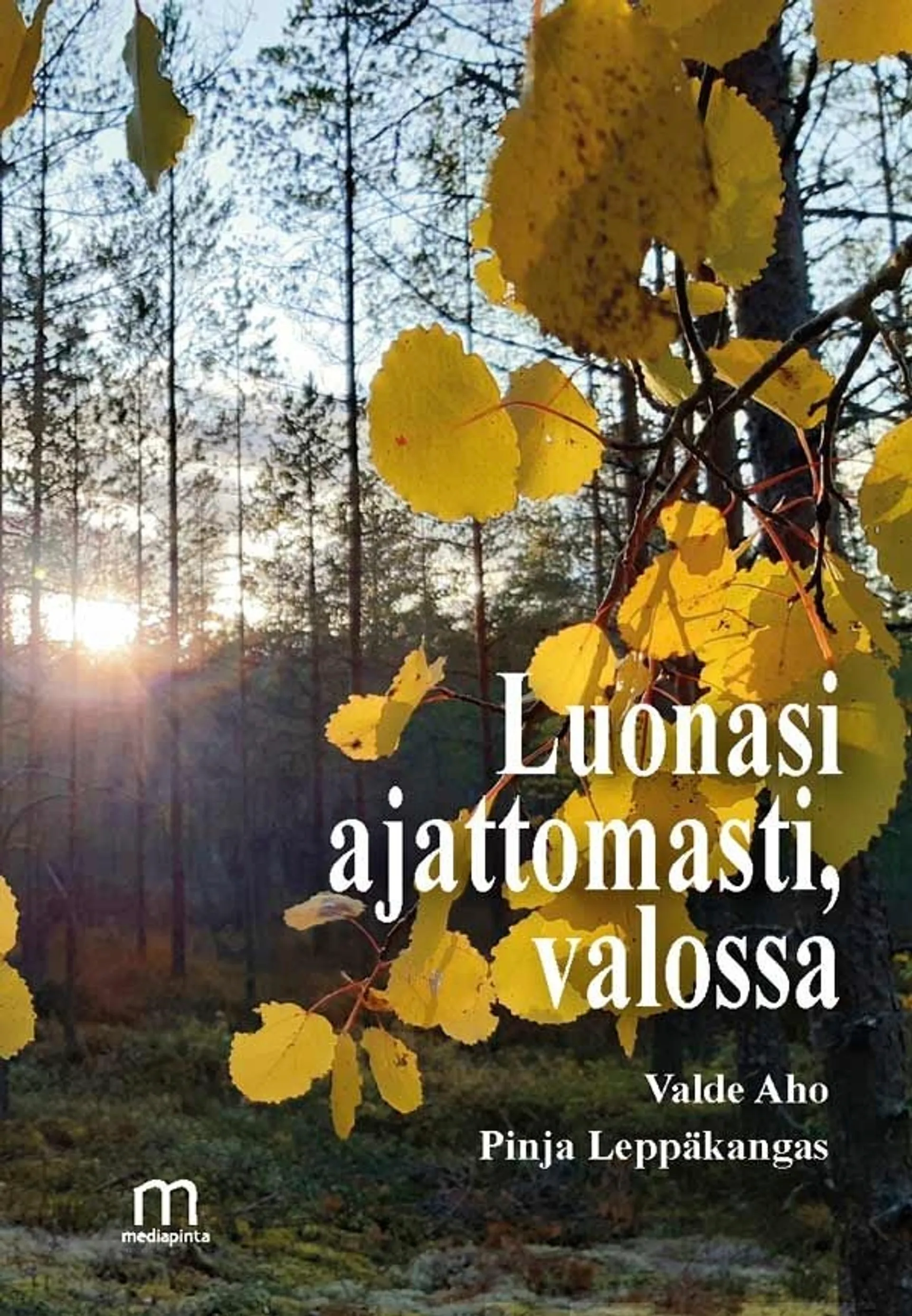 Aho, Luonasi ajattomasti, valossa