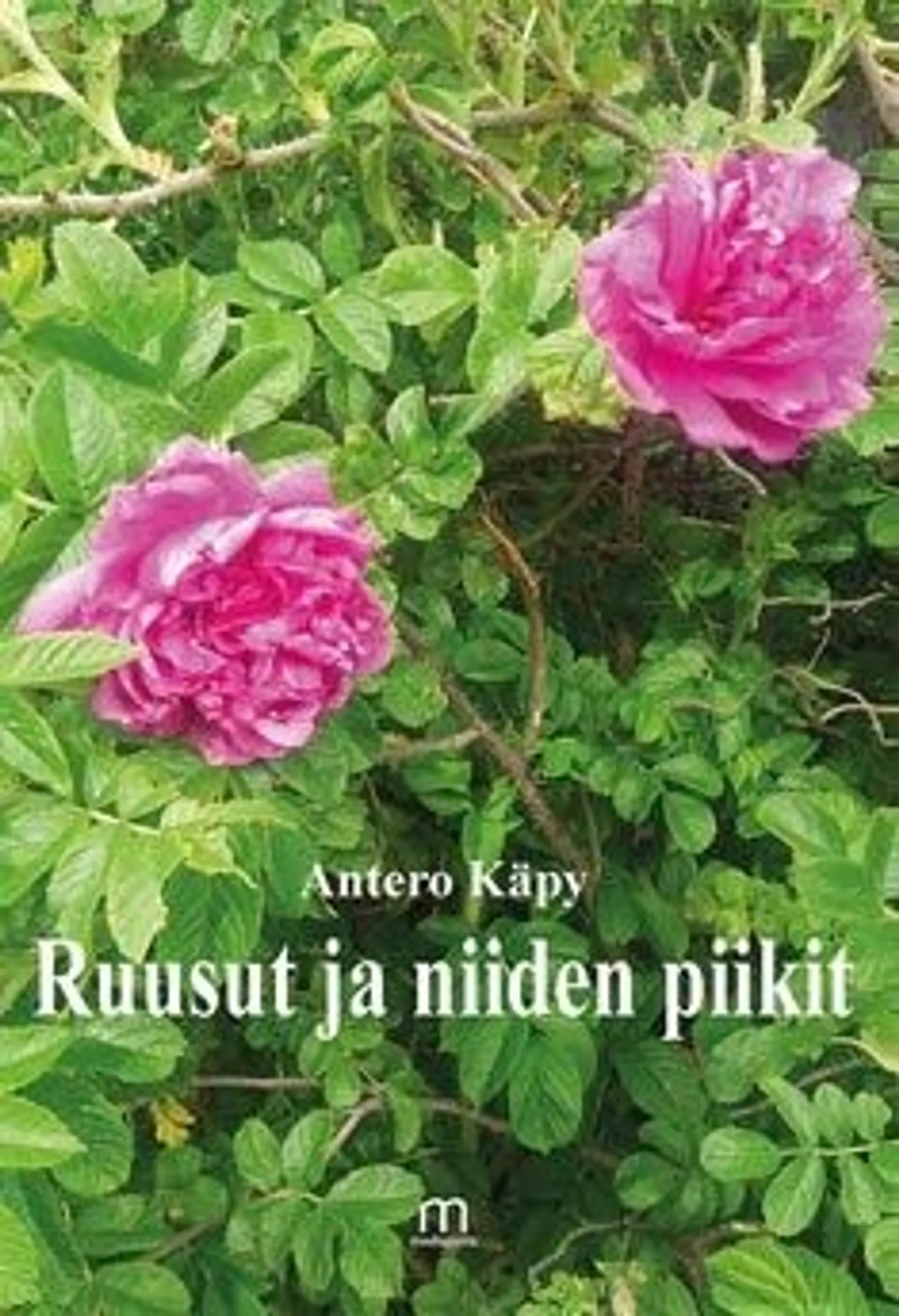 Käpy, Ruusut ja niiden piikit