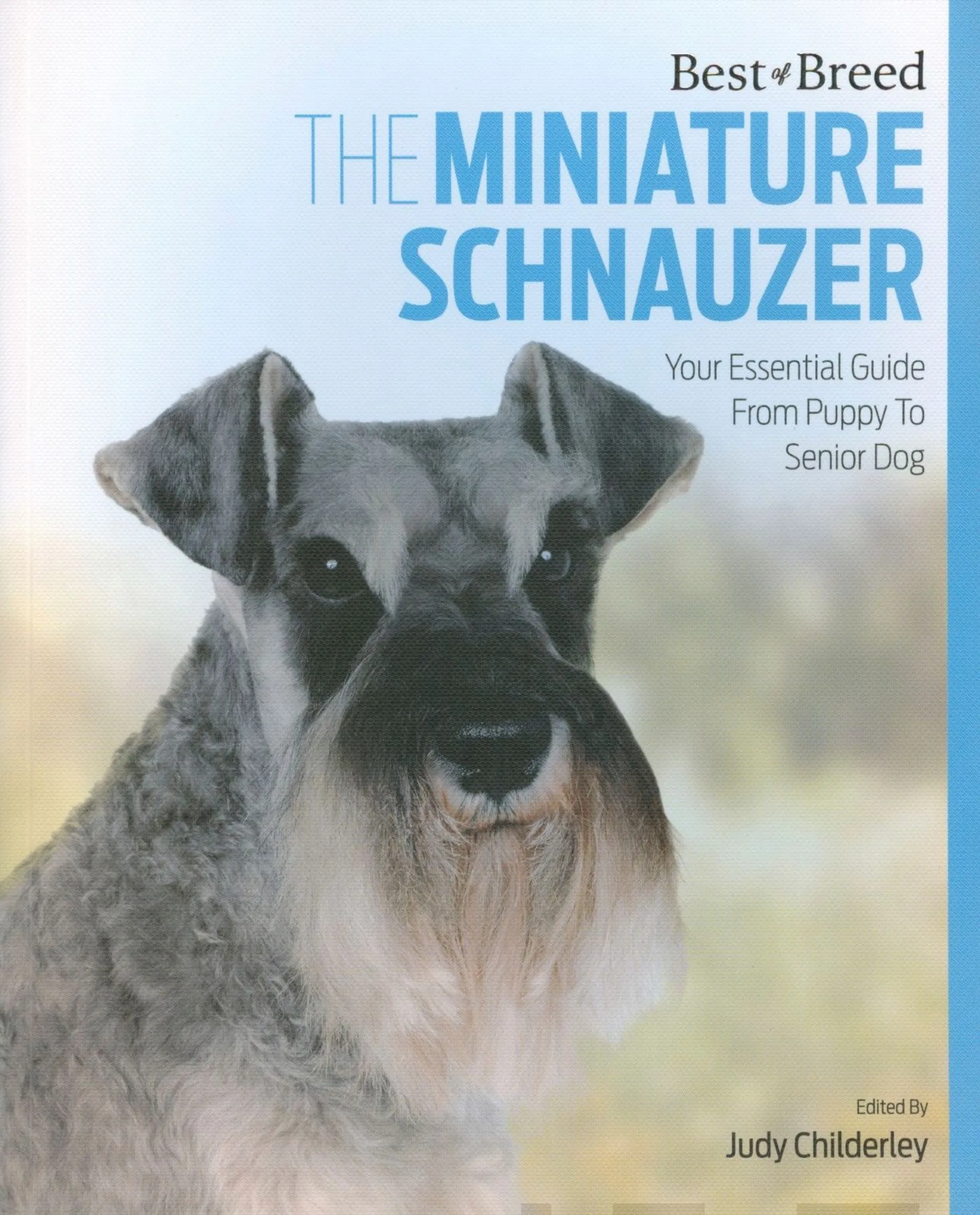 The Miniature Schnauzer - Your Essential Guide From Puppy to Senior Dog