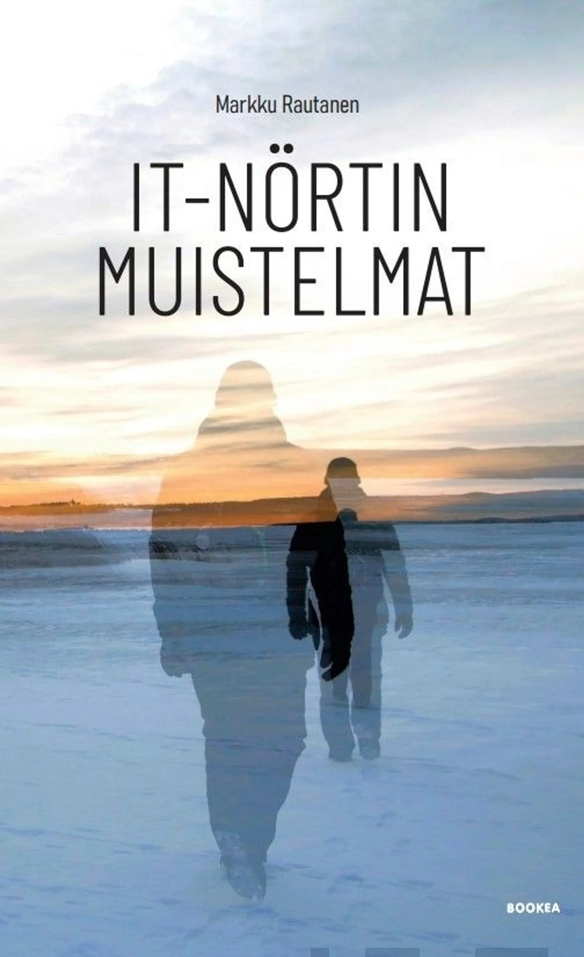 Rautanen, It-nörtin muistelmat