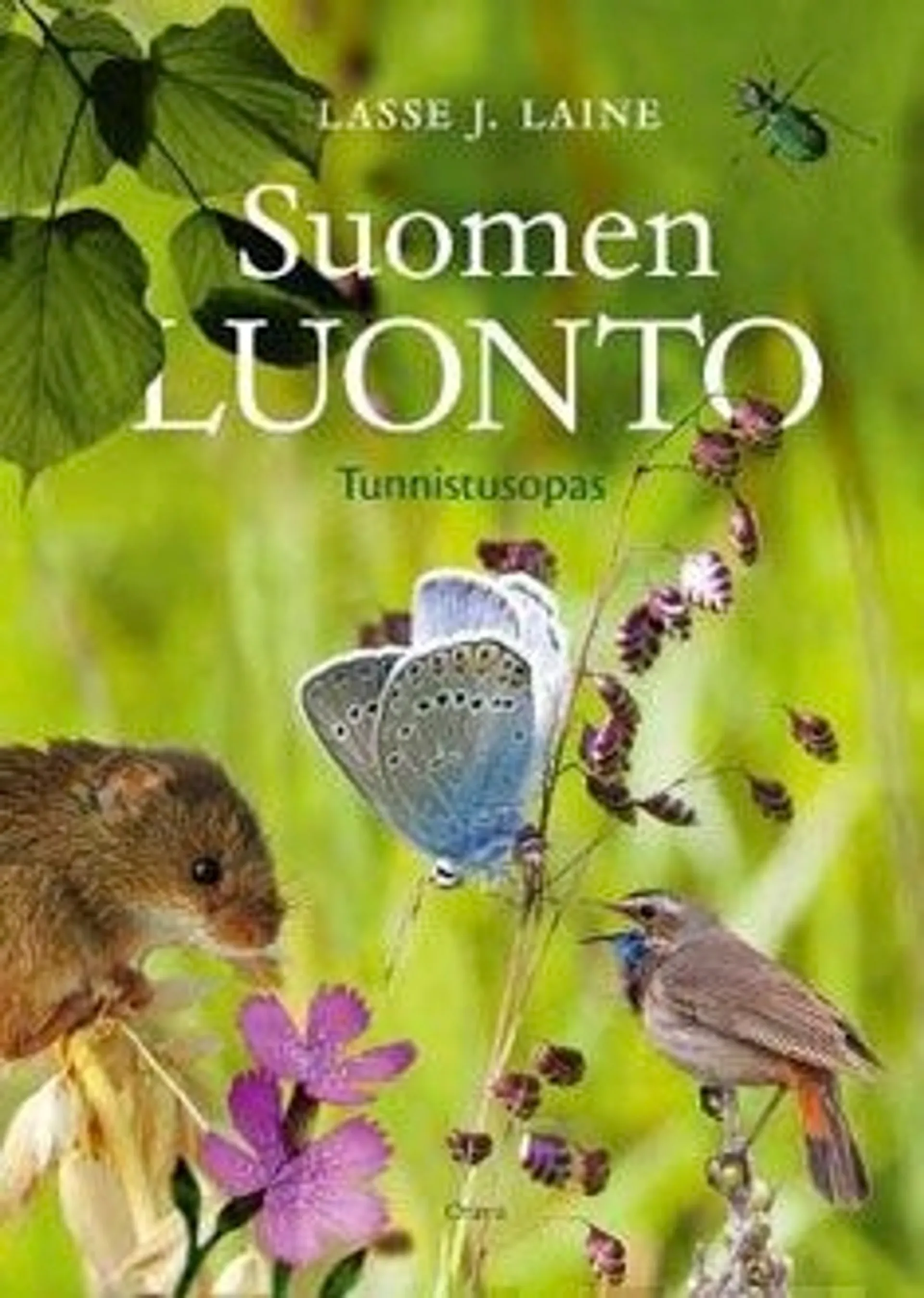 Laine, Suomen luonto