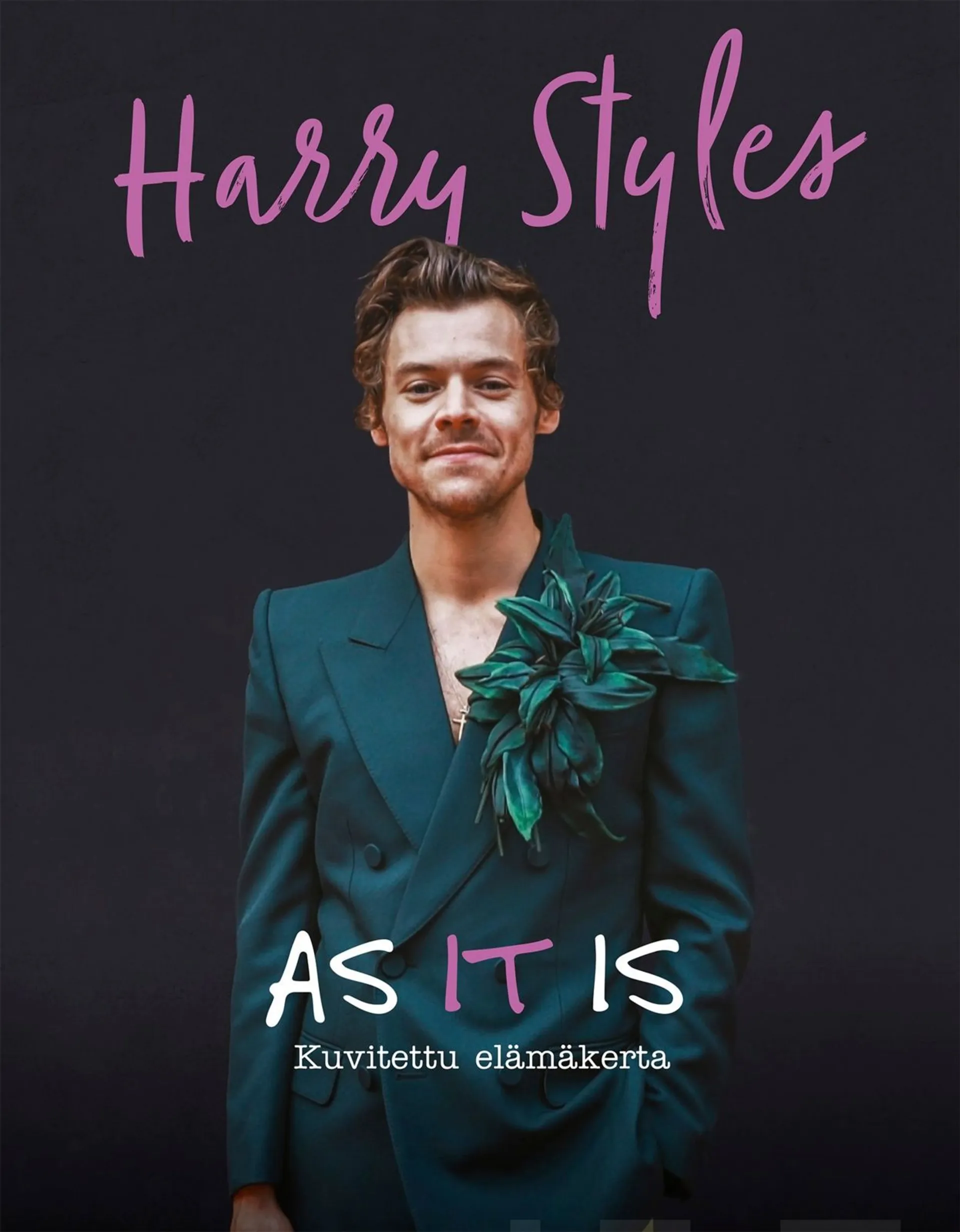 McHugh, Harry Styles - AS IT IS - Kuvitettu elämäkerta