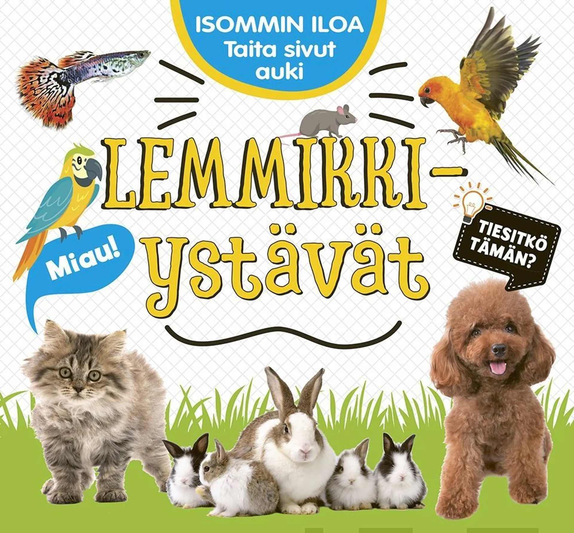 Isommin iloa - Lemmikkiystävät