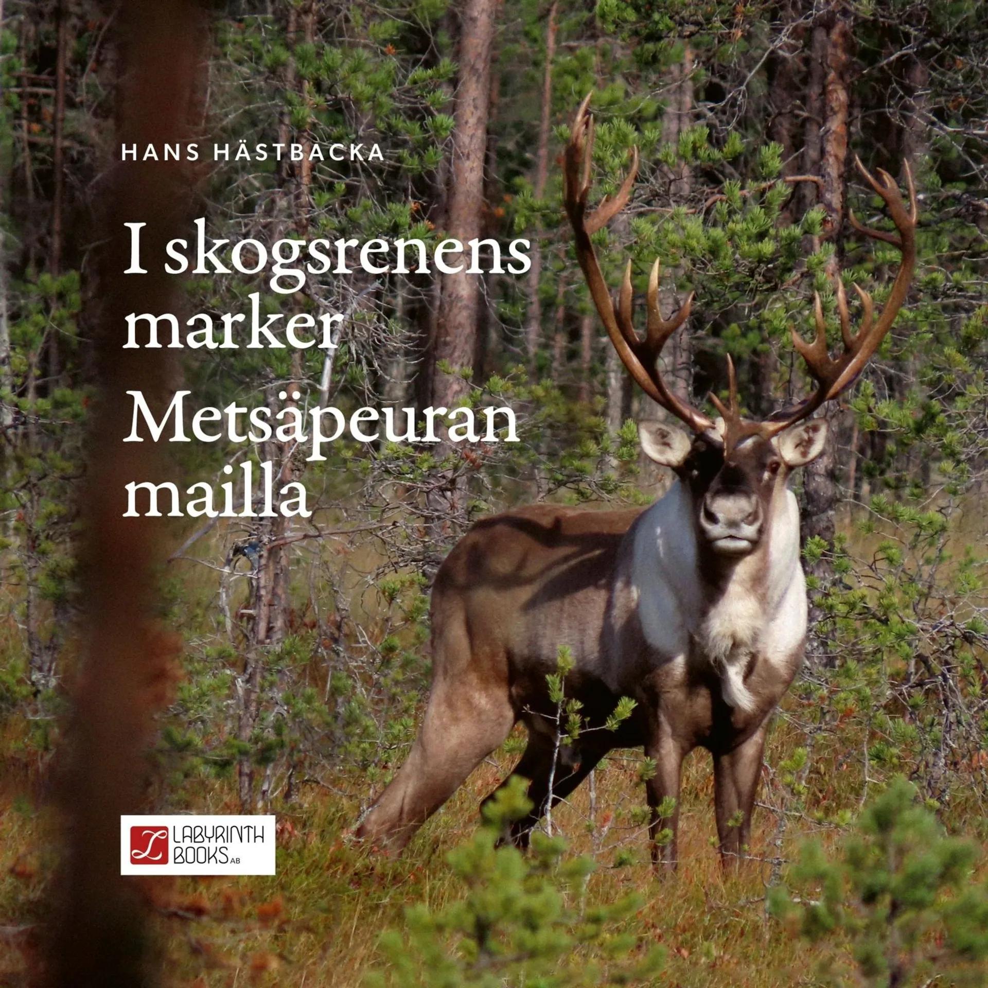 Hästbacka, I skogsrenens marker  - Metsäpeuran mailla