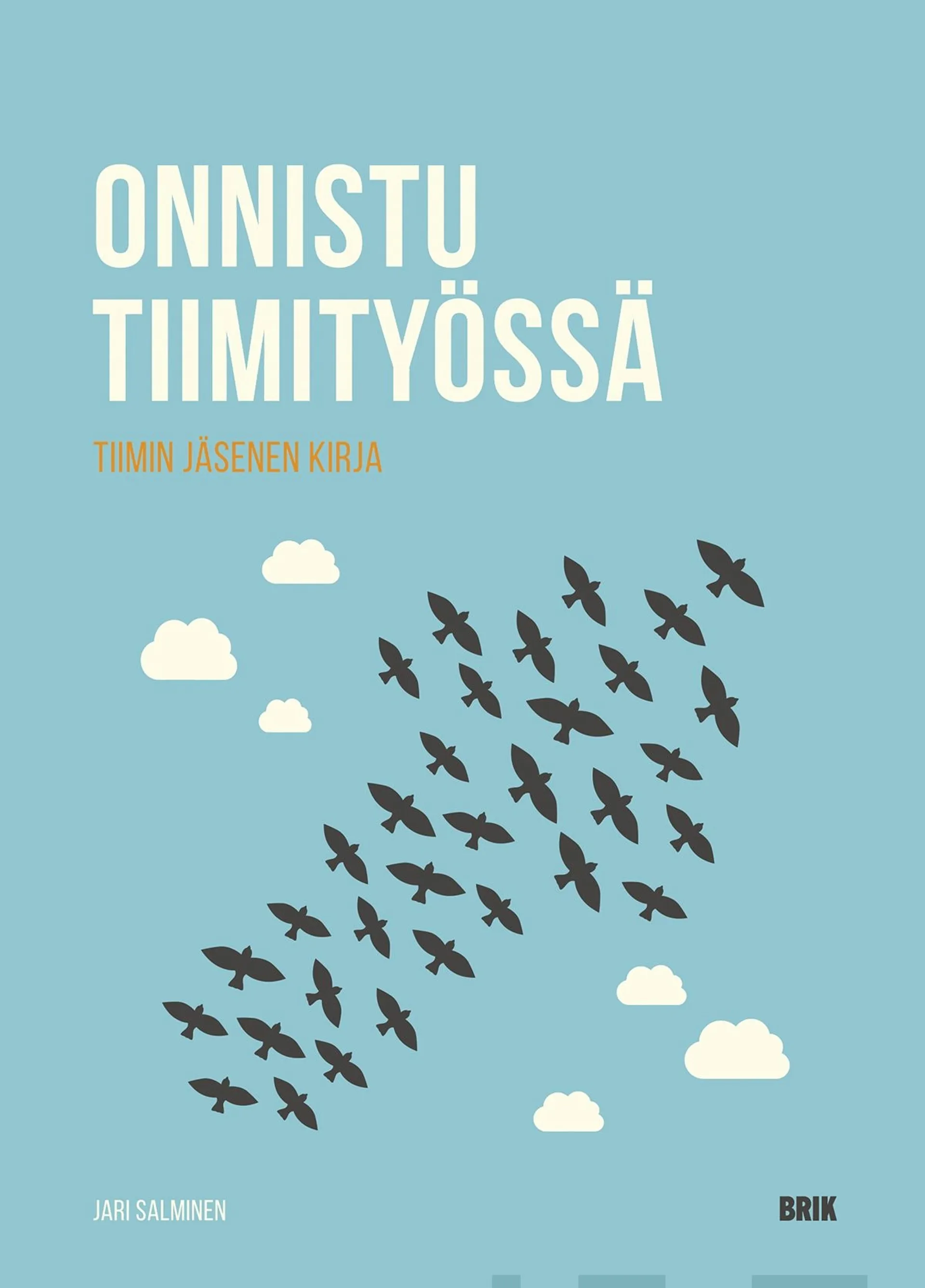 Salminen, Onnistu tiimityössä - Tiimin jäsenen kirja