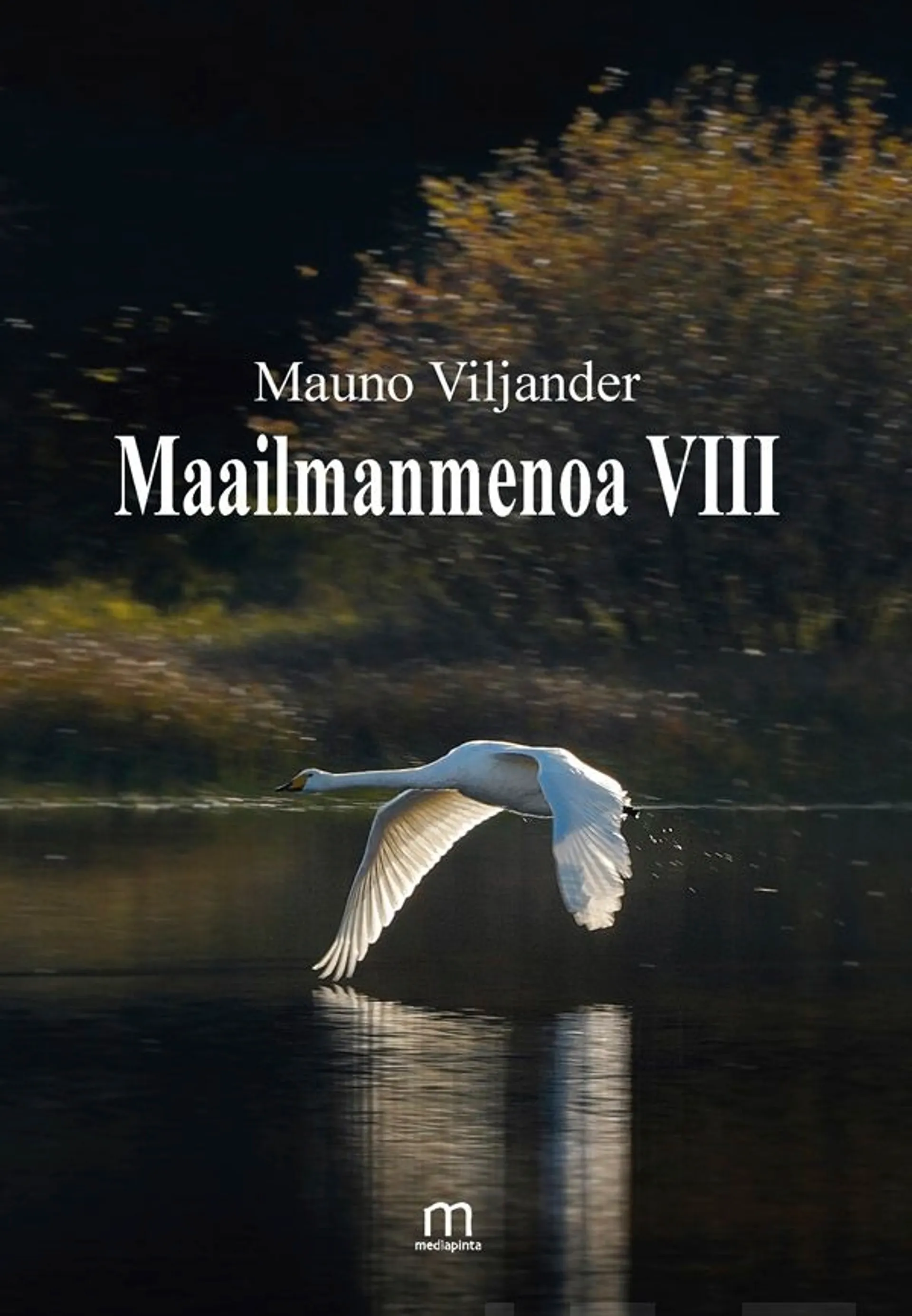 Viljander, Maailmanmenoa VIII