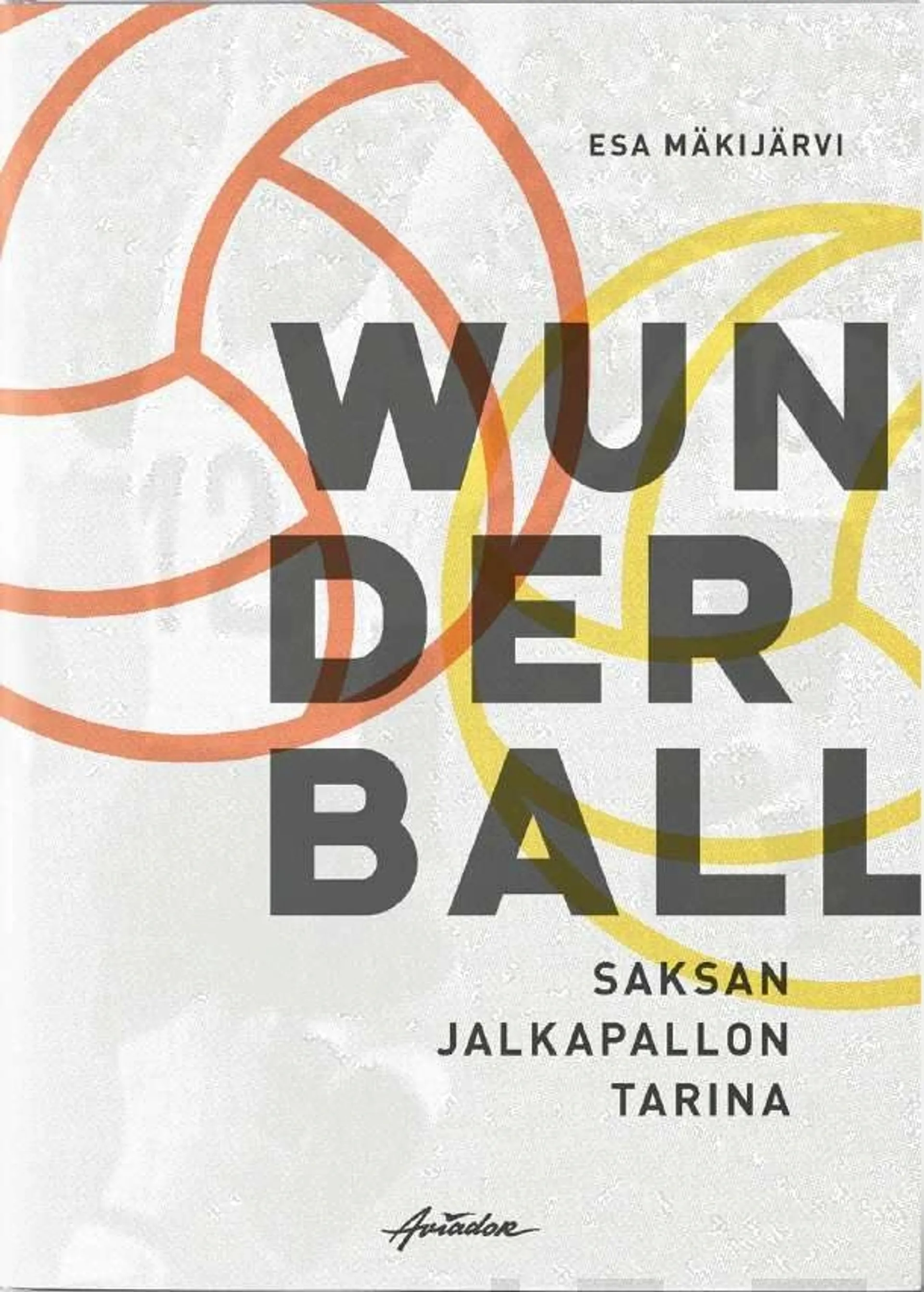 Mäkijärvi, Wunderball - Saksan jalkapallon tarina