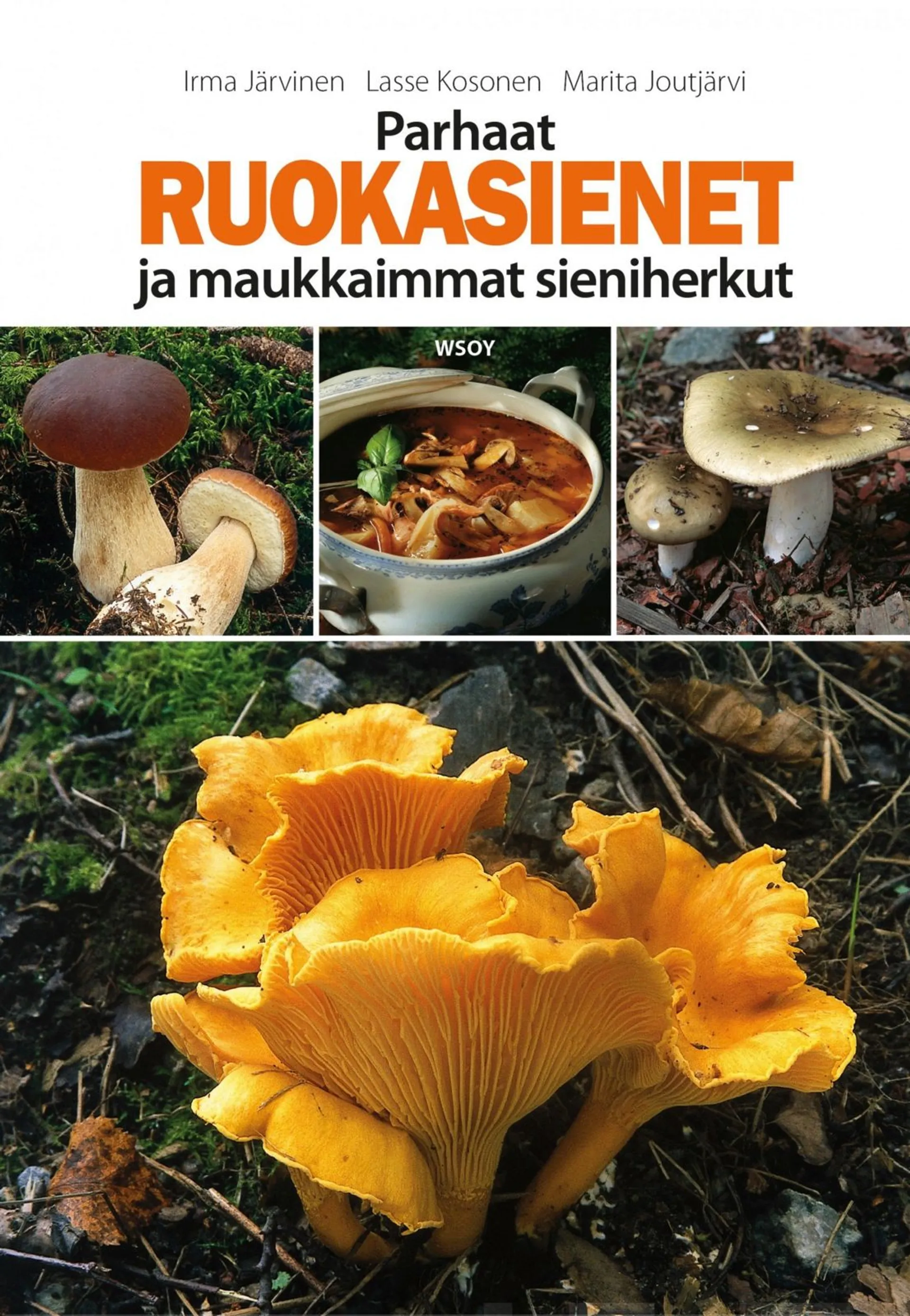 Parhaat ruokasienet ja maukkaimmat sieniherkut