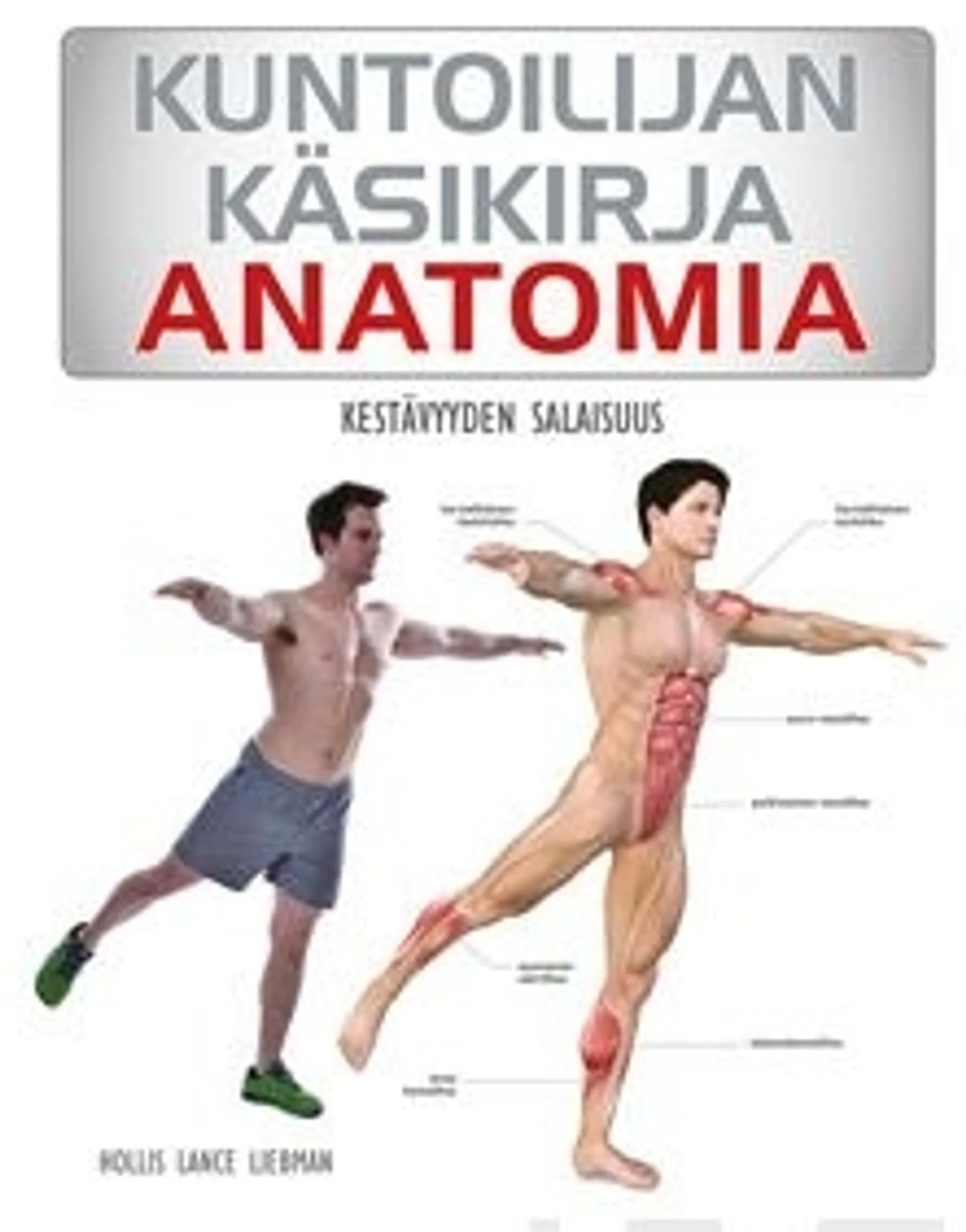 Liebman, Kuntoilijan käsikirja - Anatomia : Kestävyyden salaisuus