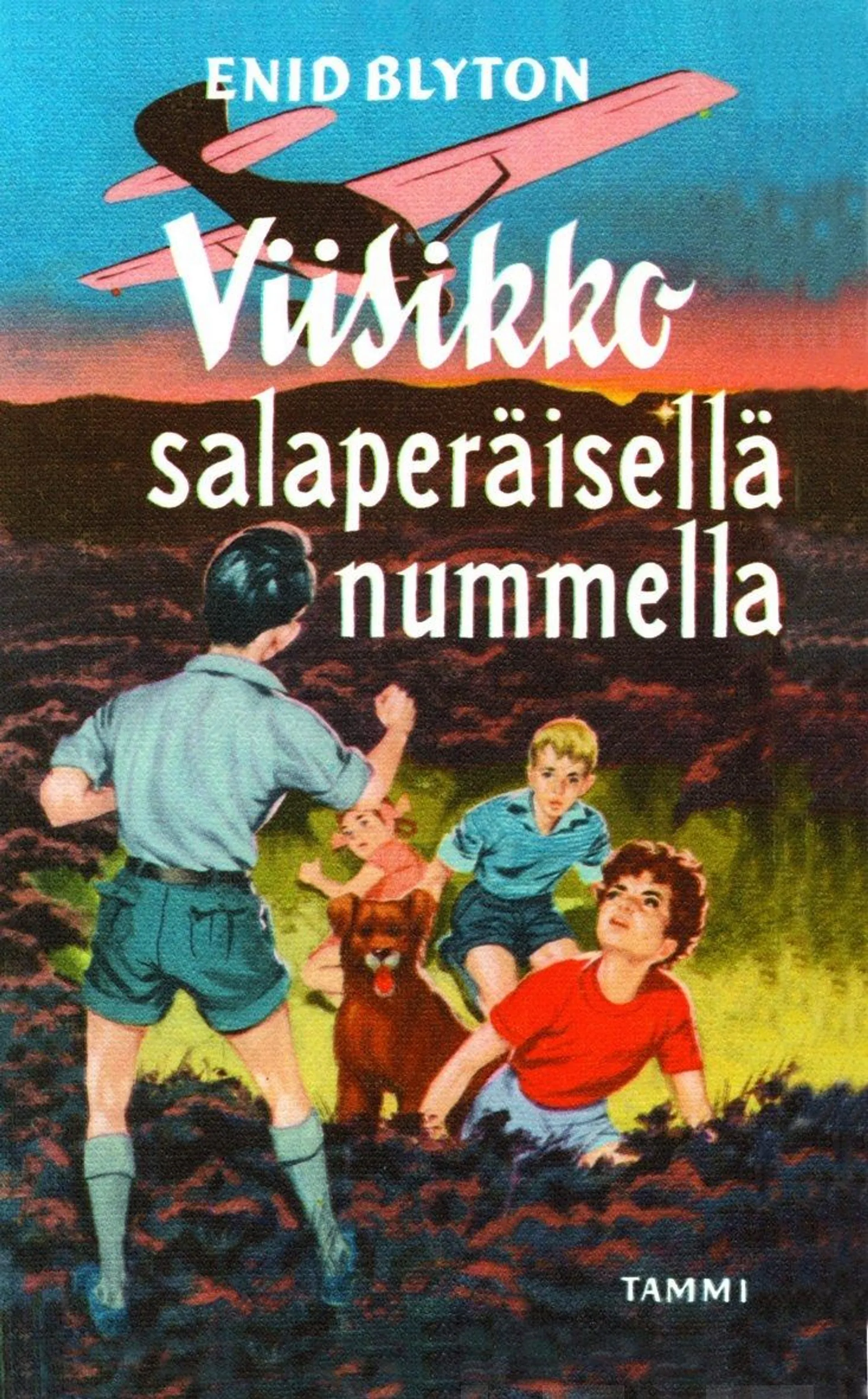 Viisikko salaperäisellä nummella