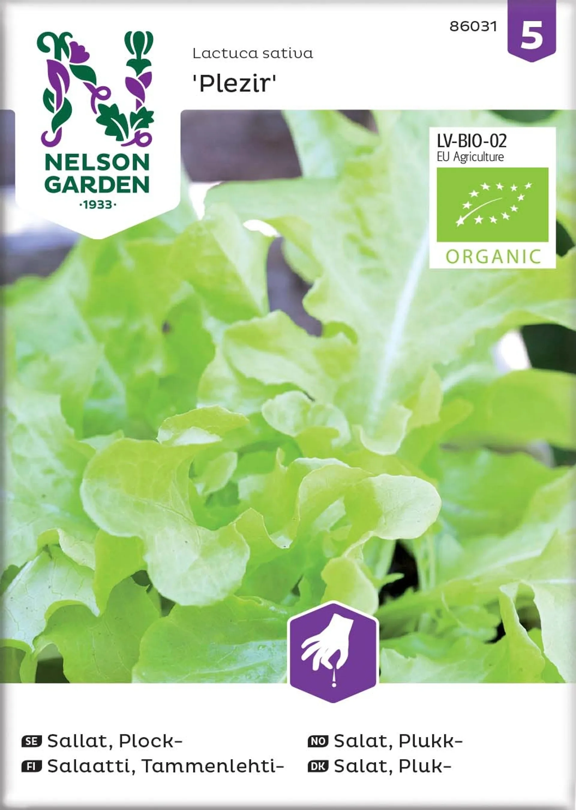 Nelson Garden Siemen Salaatti, Tammenlehti-, Plezir, luomu