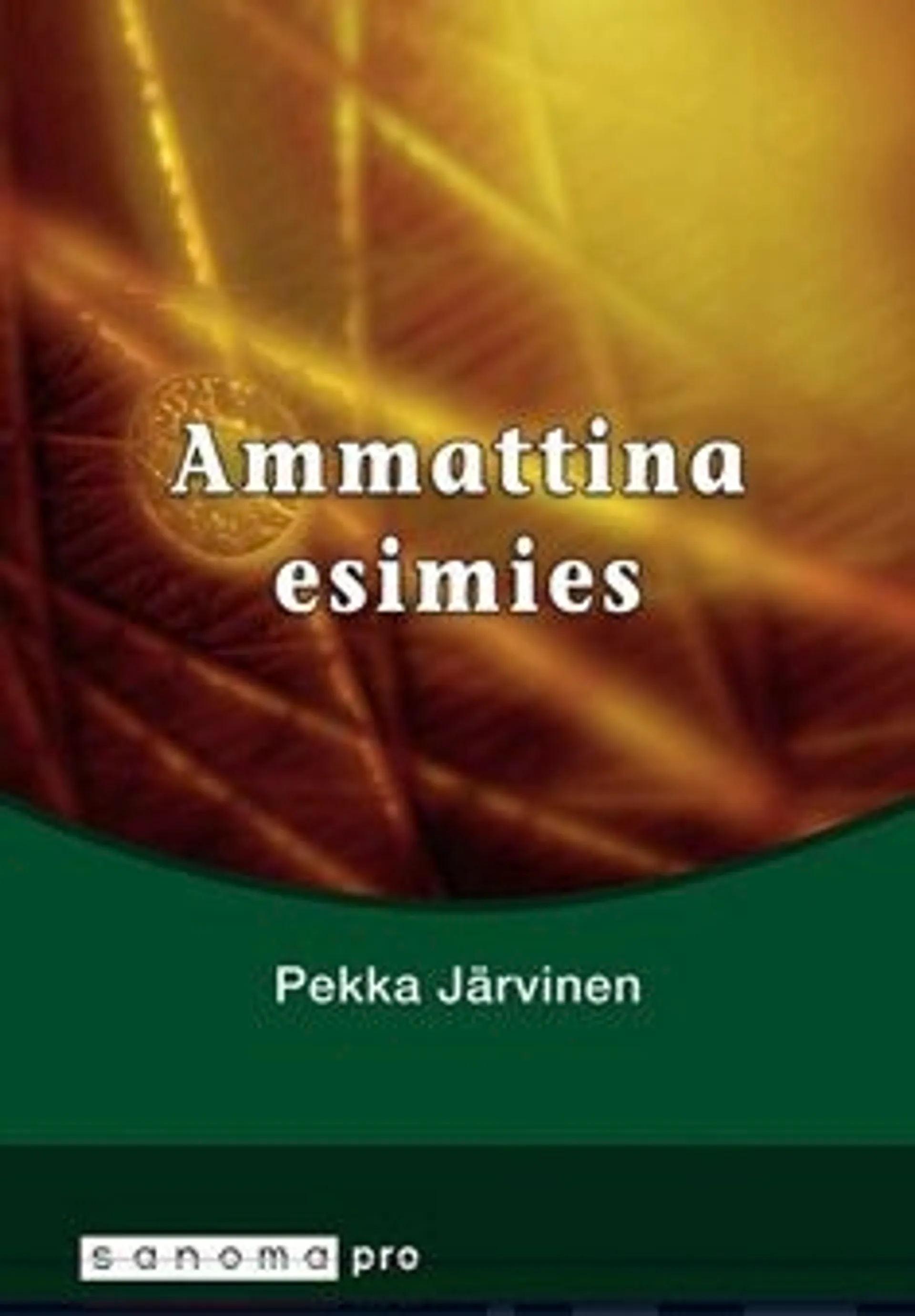 Järvinen, Ammattina esimies