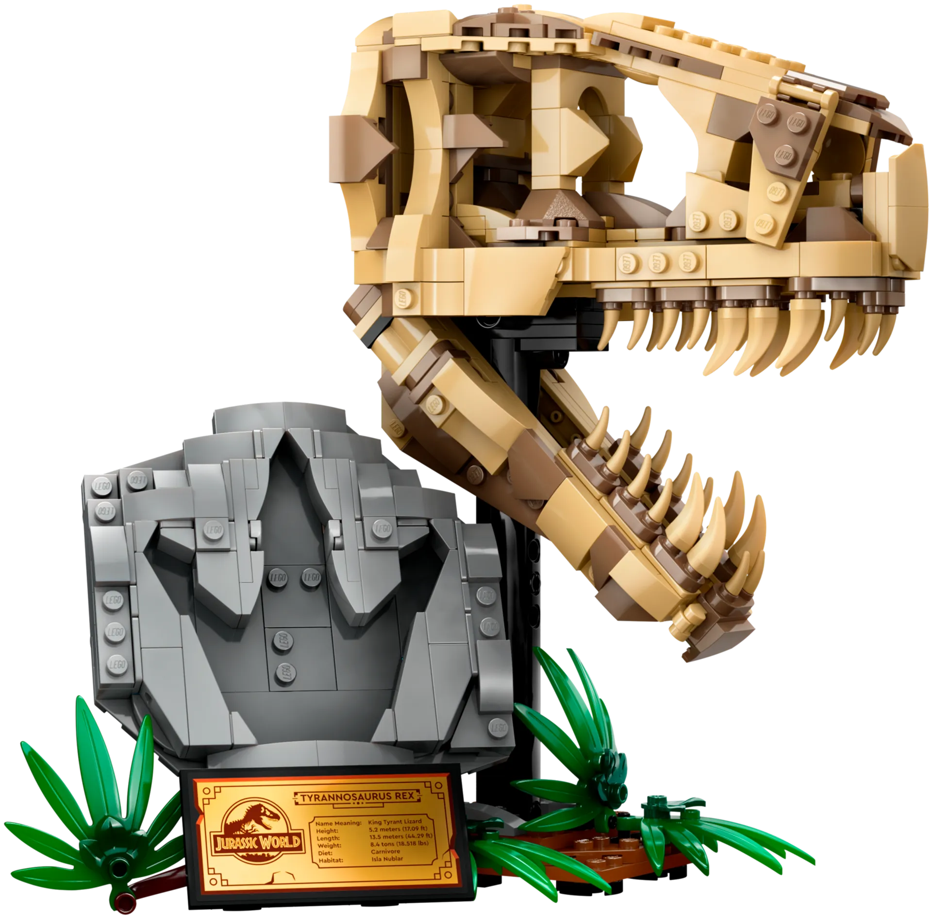 LEGO® Jurassic World 76964 Dinosaurusfossiilit: T. rexin pääkallo - 4