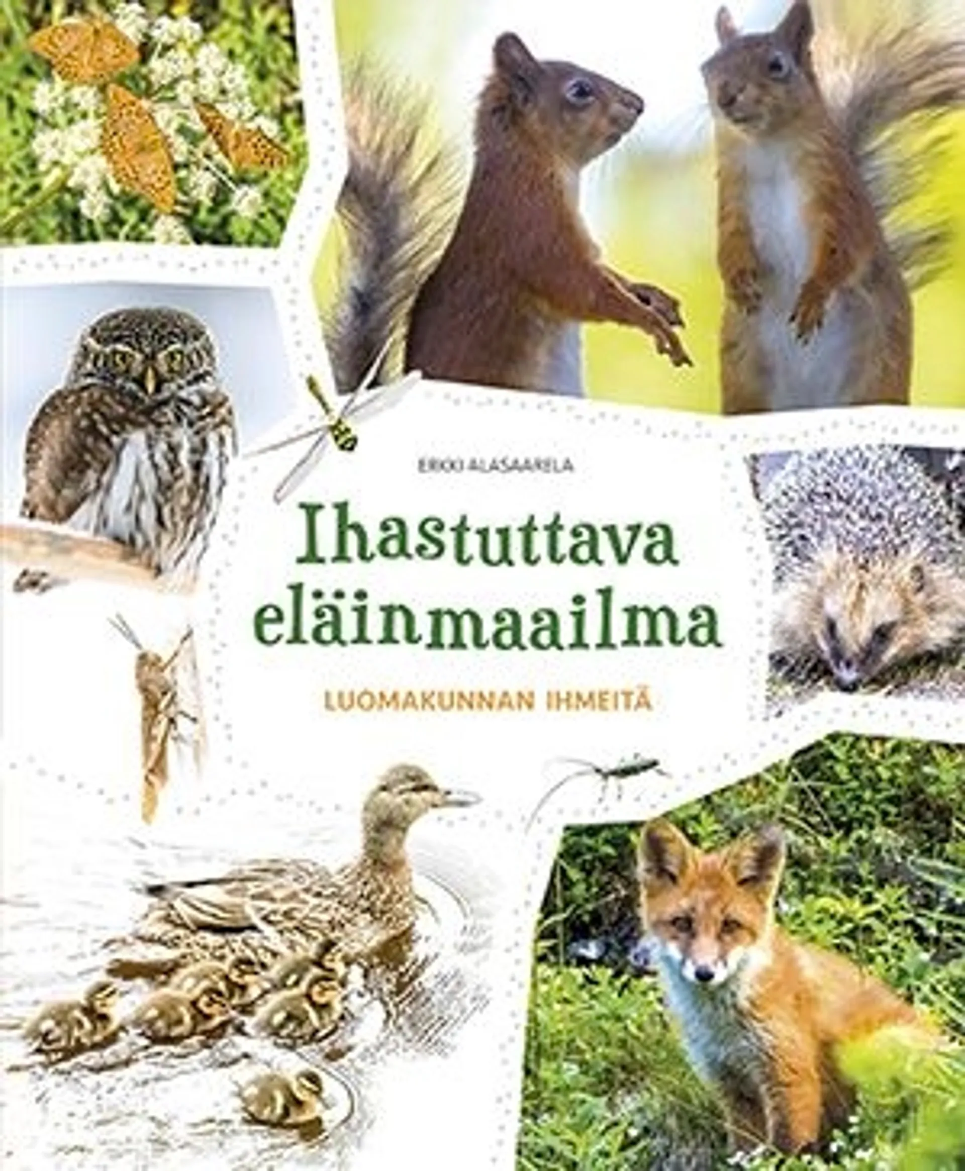 Alasaarela, Ihastuttava eläinmaailma - Luomakunnan ihmeitä