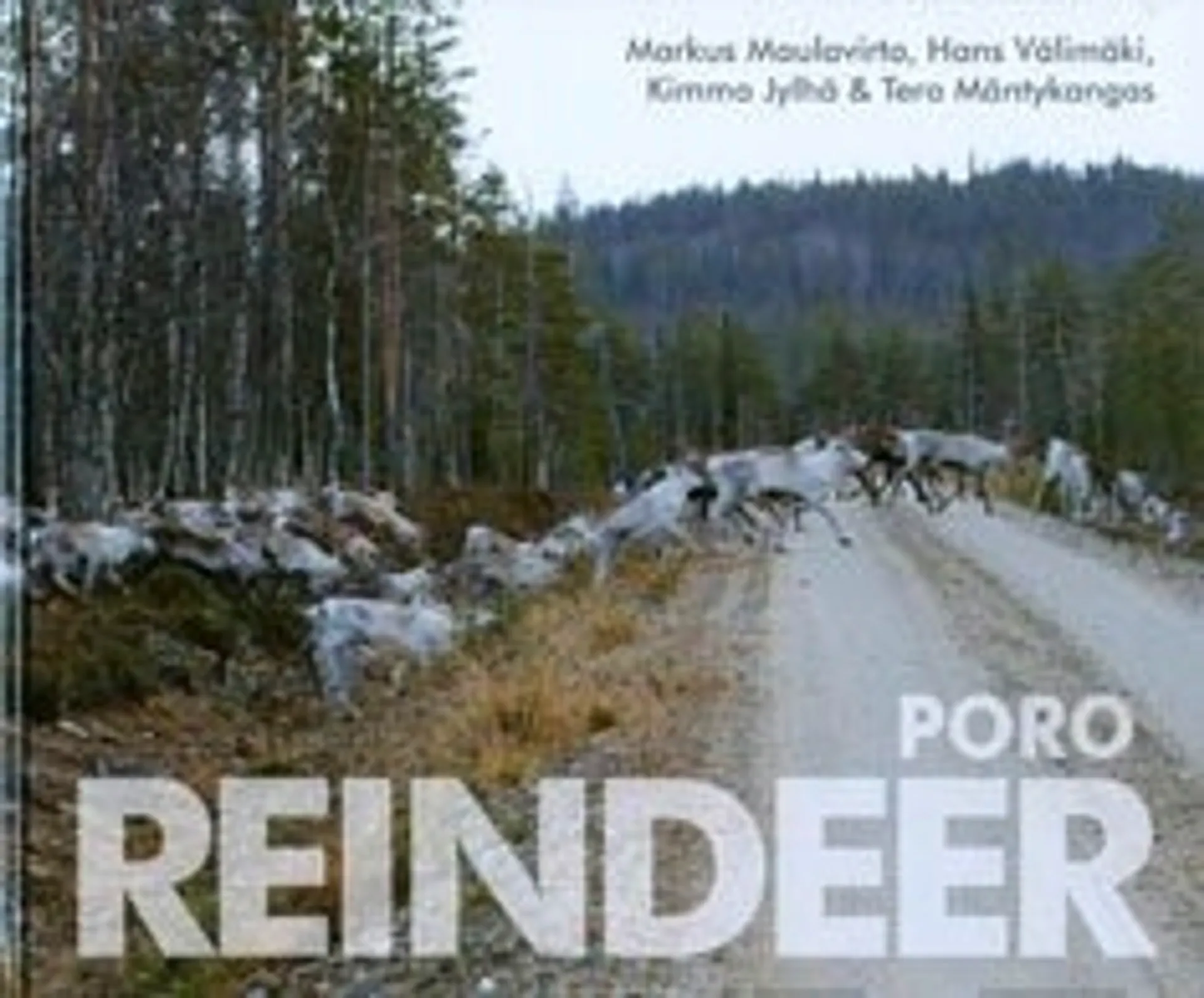 Reindeer (+dvd)