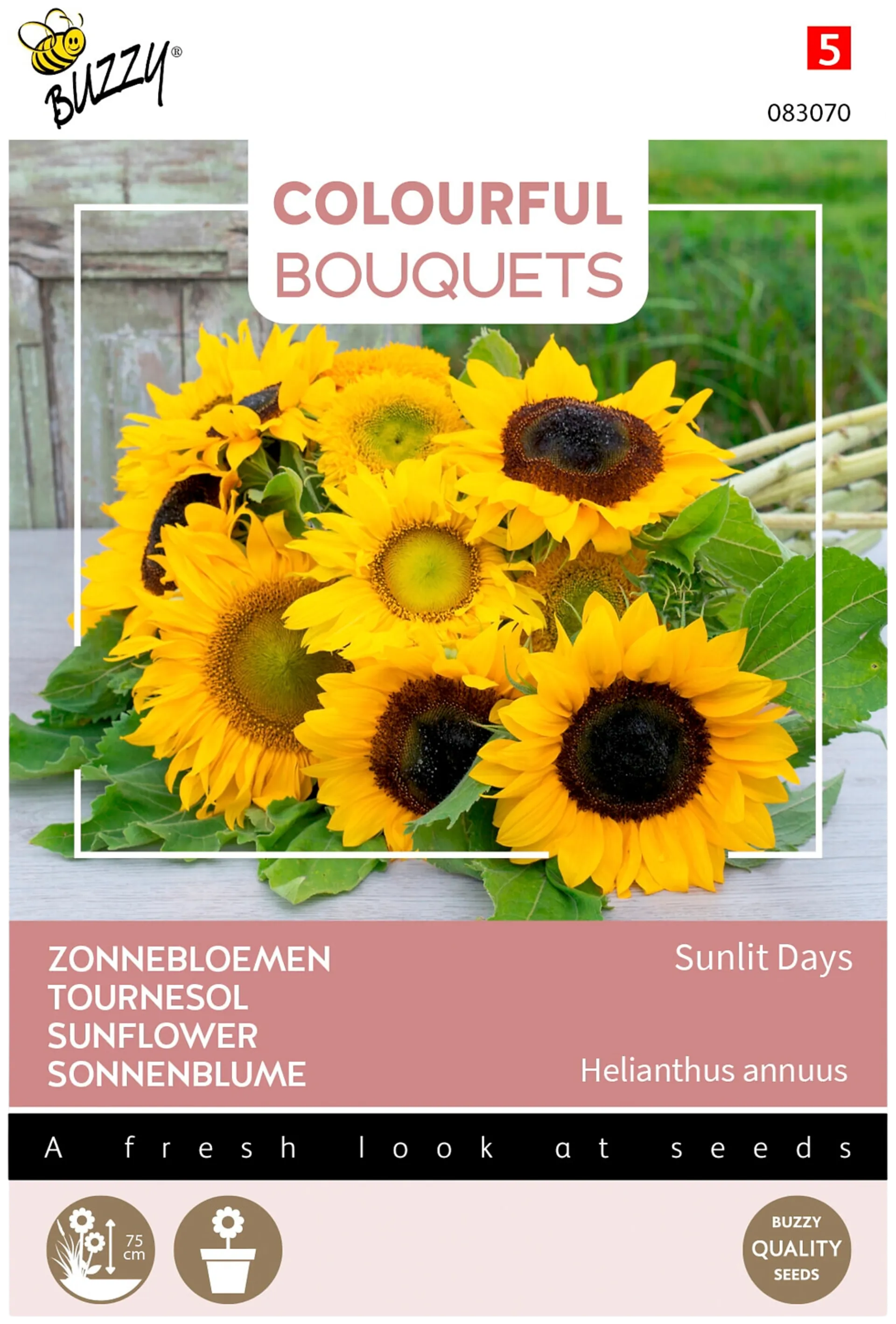 Buzzy® Colorful Bouquets Sunlit Days Sunflower, auringonkukkasekoitus