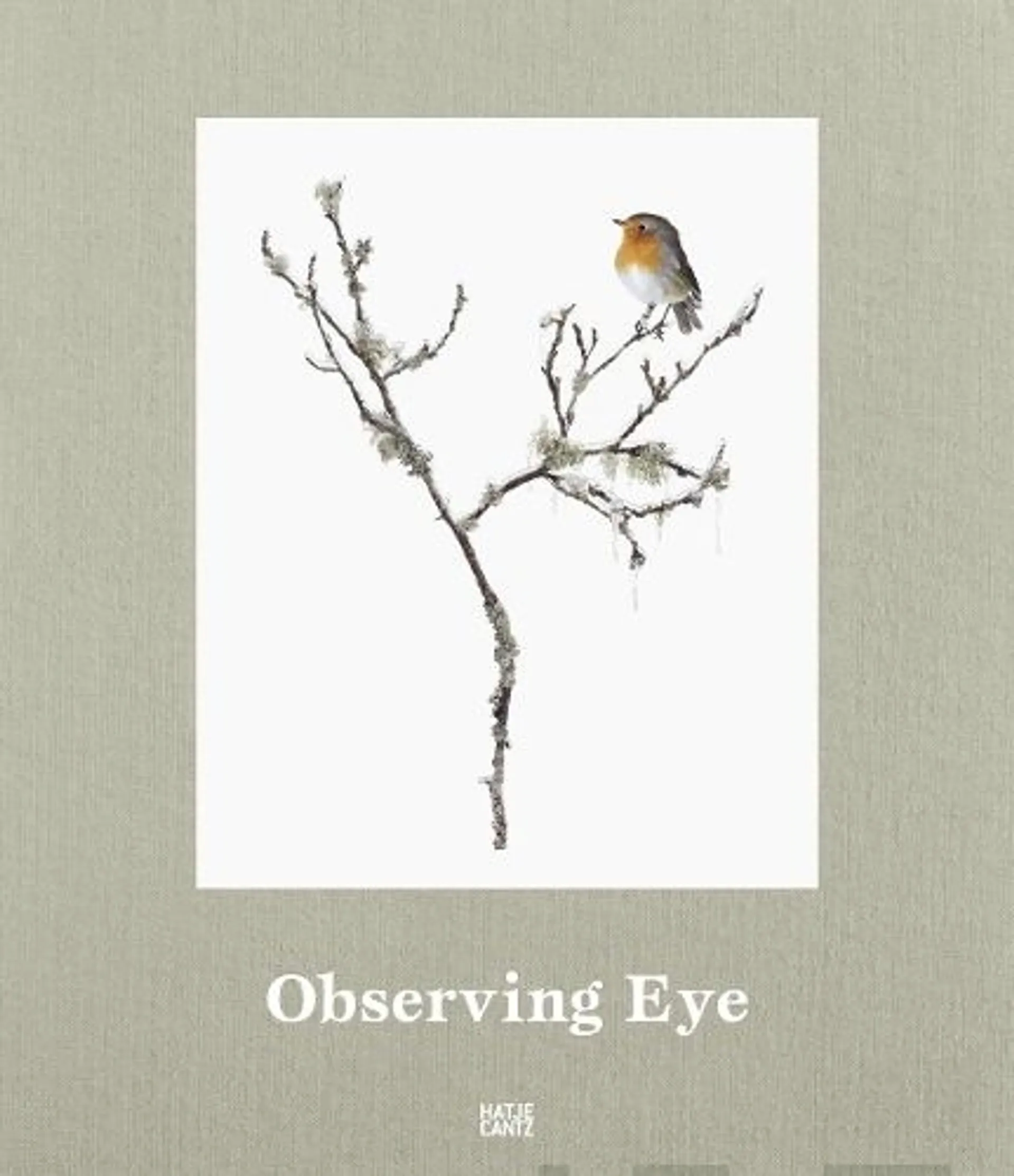 Observing Eye - Taidekirja