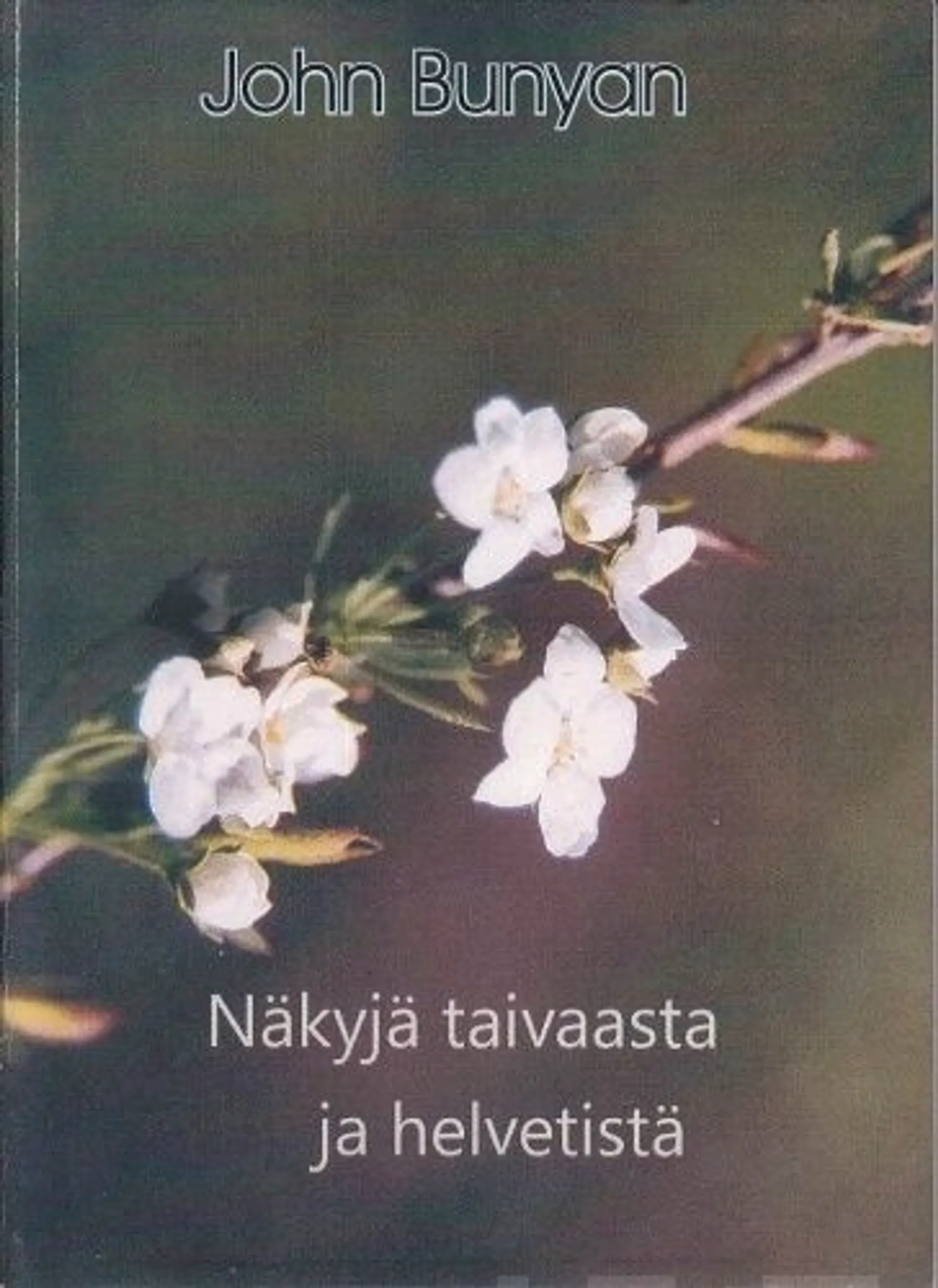 Bunyan, Näkyjä taivaasta ja helvetistä