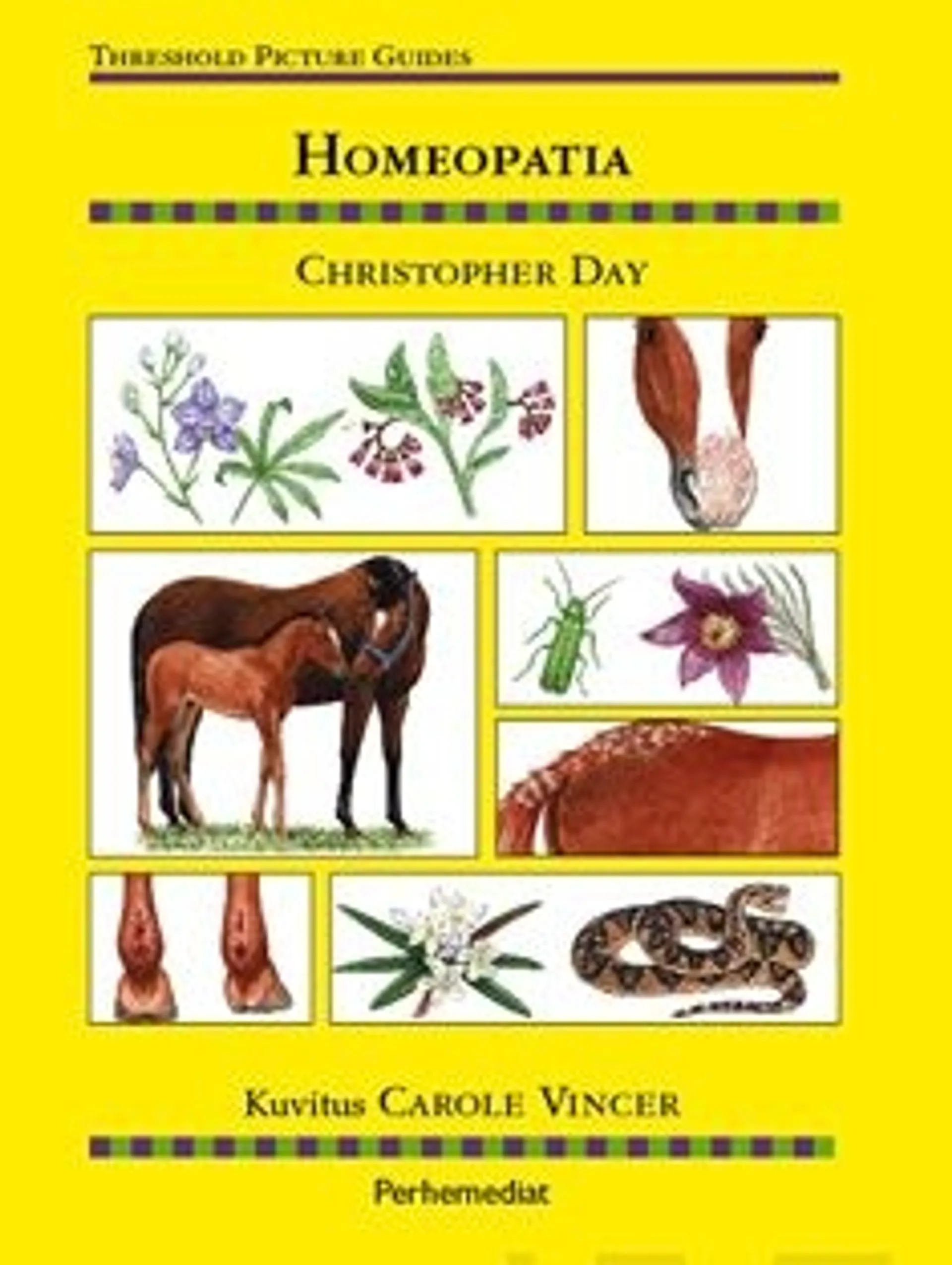 Day, Homeopatia