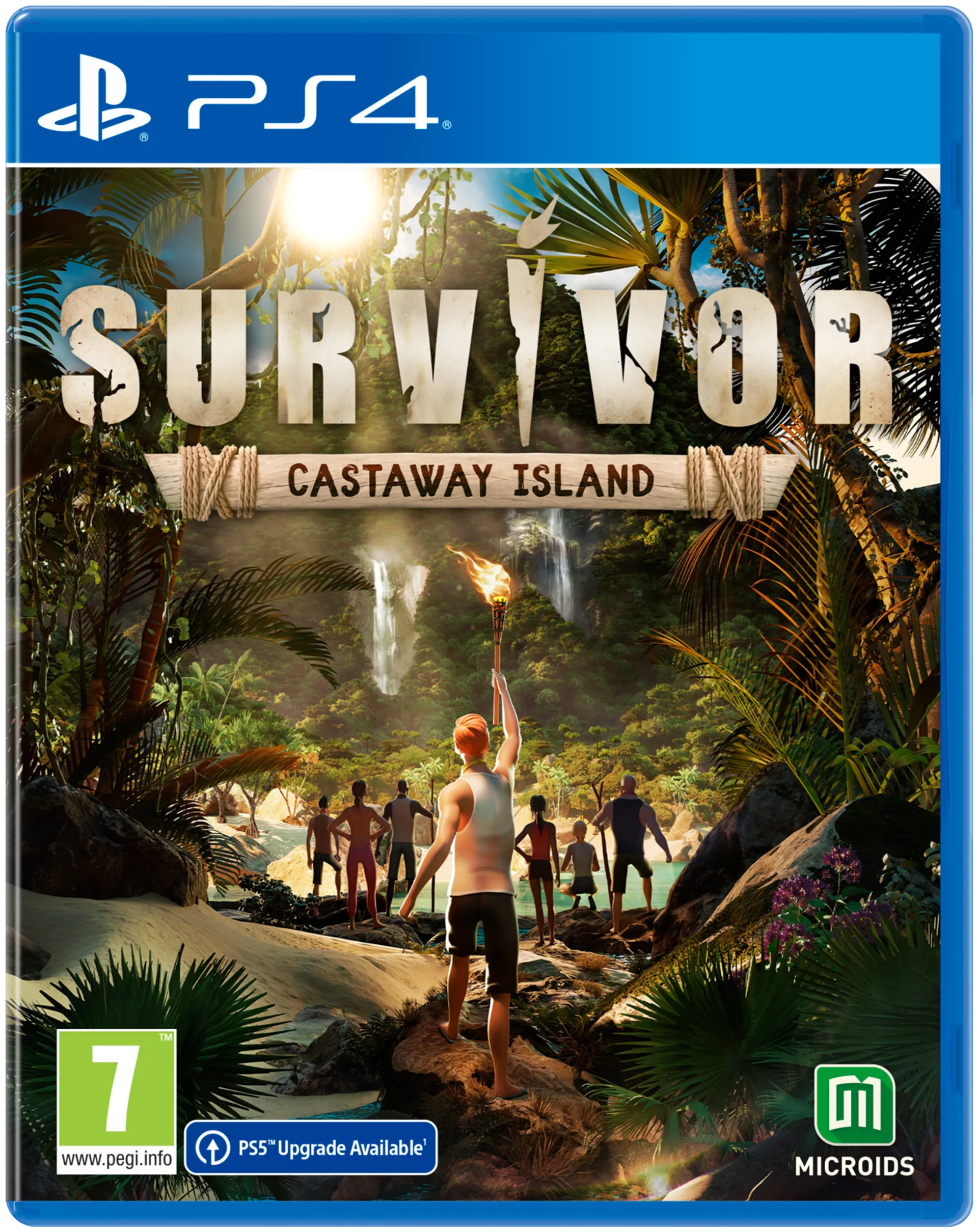 PS4 Survivor Version Standard