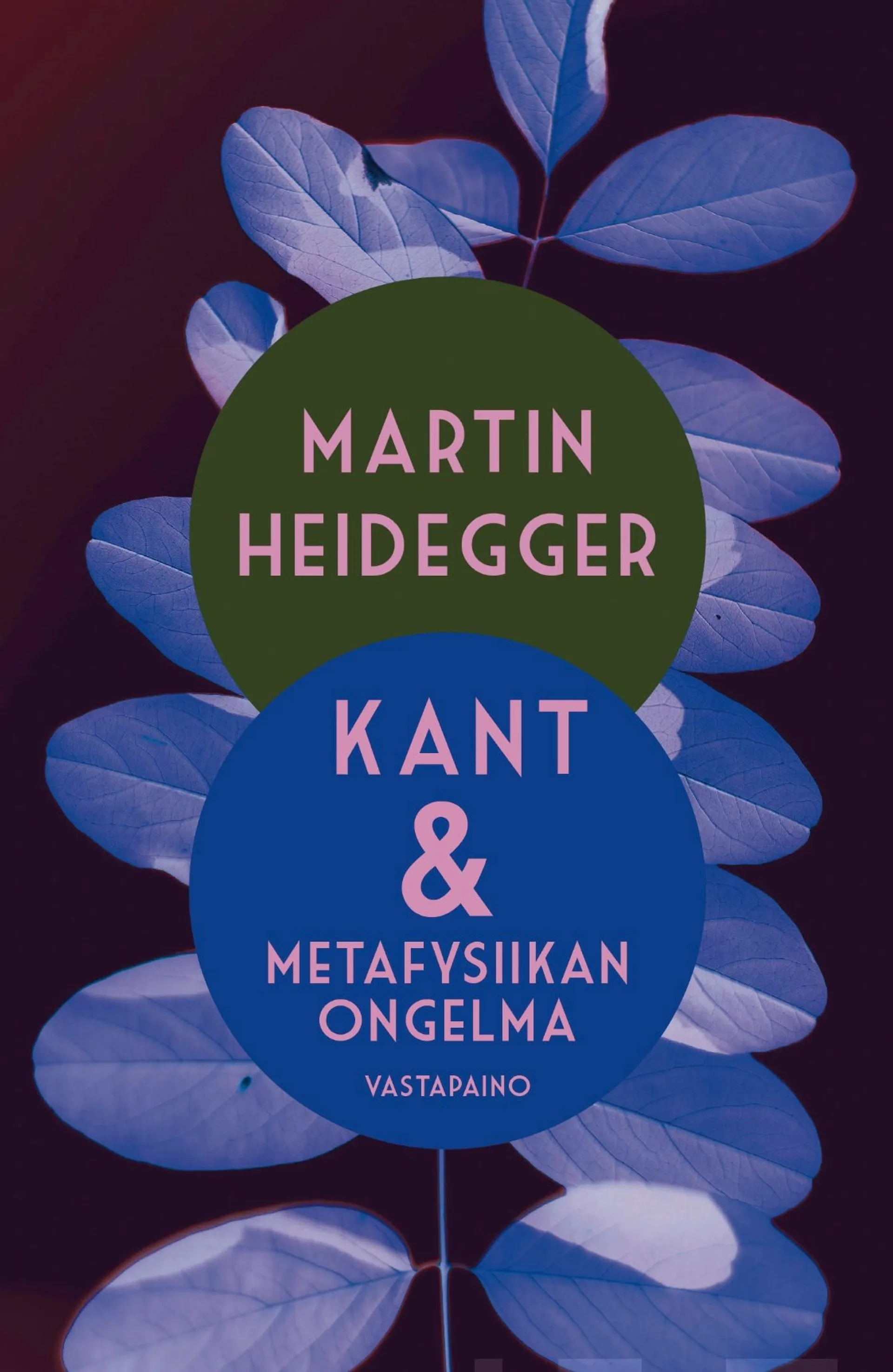 Heidegger, Kant & metafysiikan ongelma