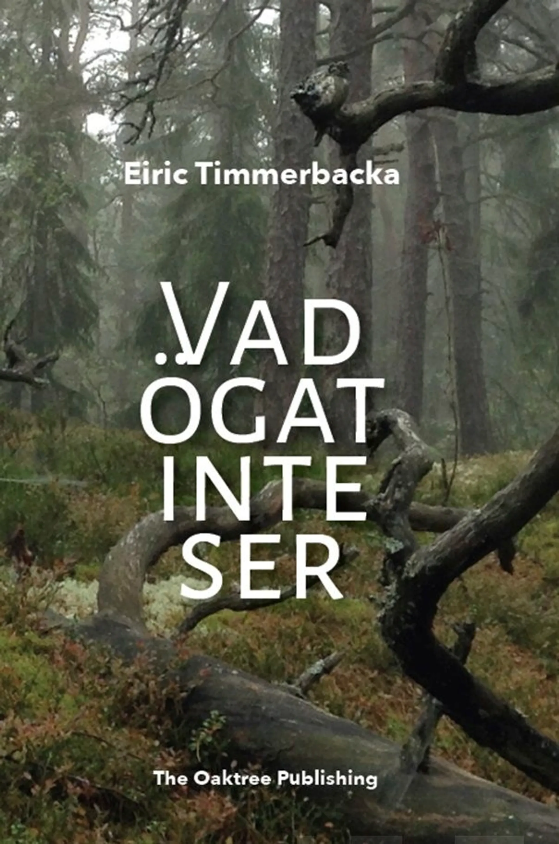 Timmerbacka, Vad ögat inte ser