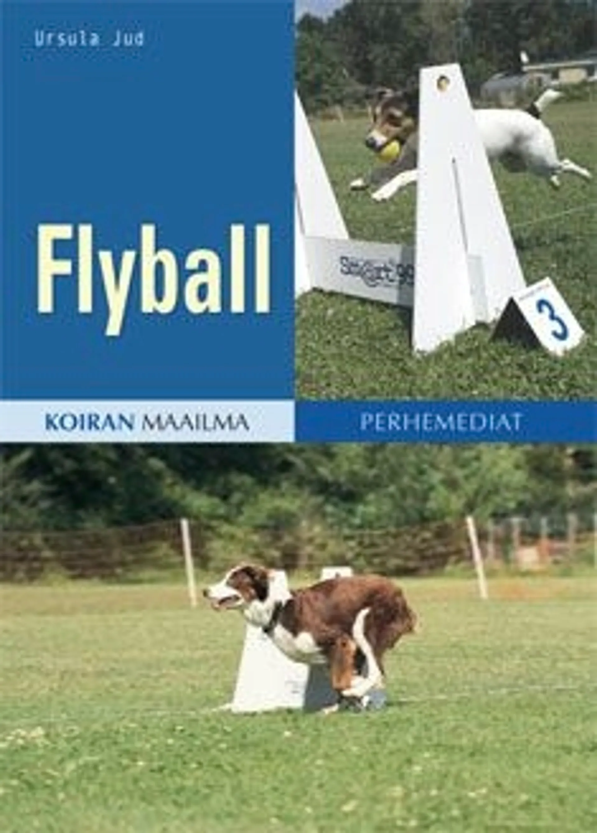 Jud, Flyball