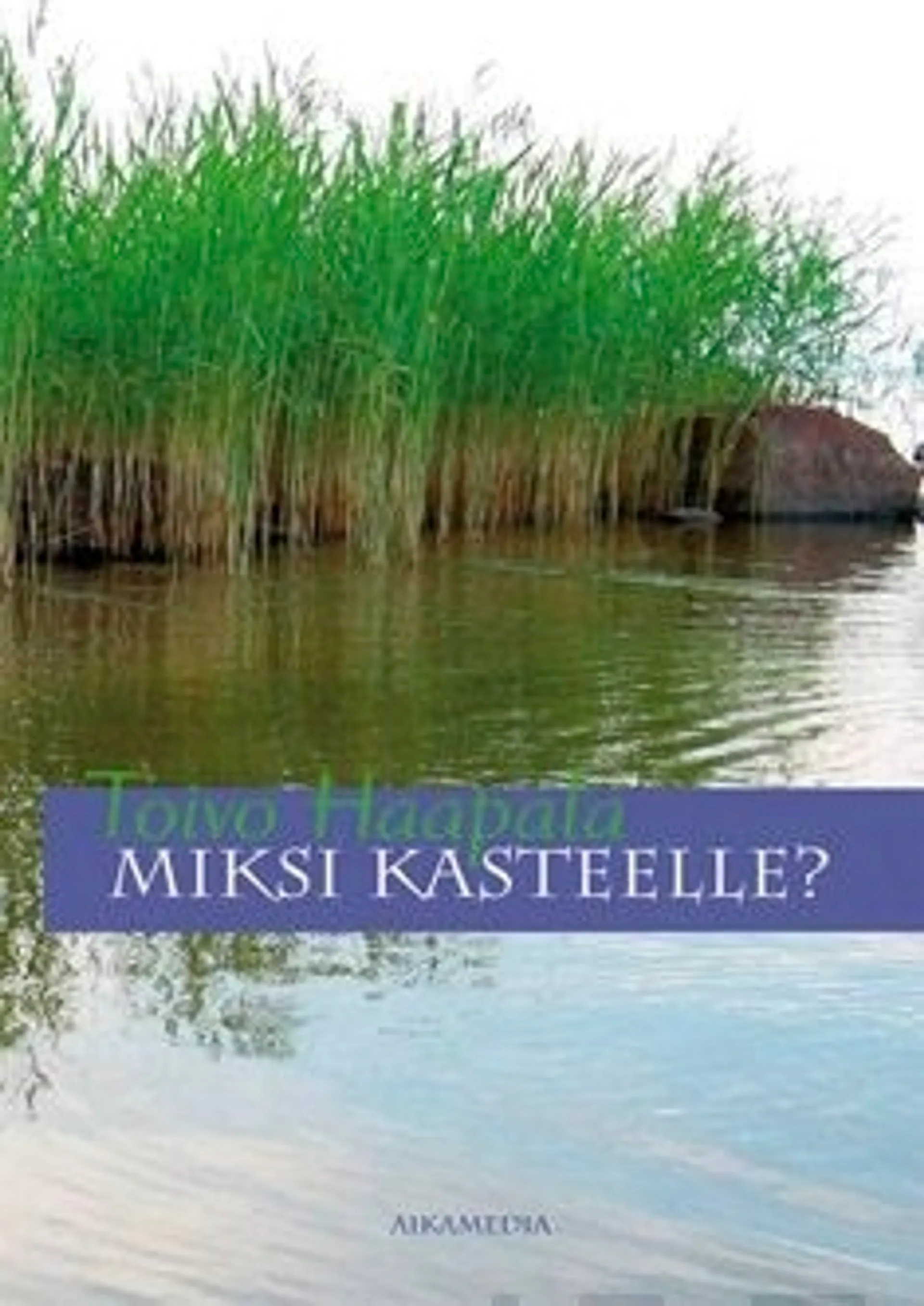 Haapala, Miksi kasteelle?