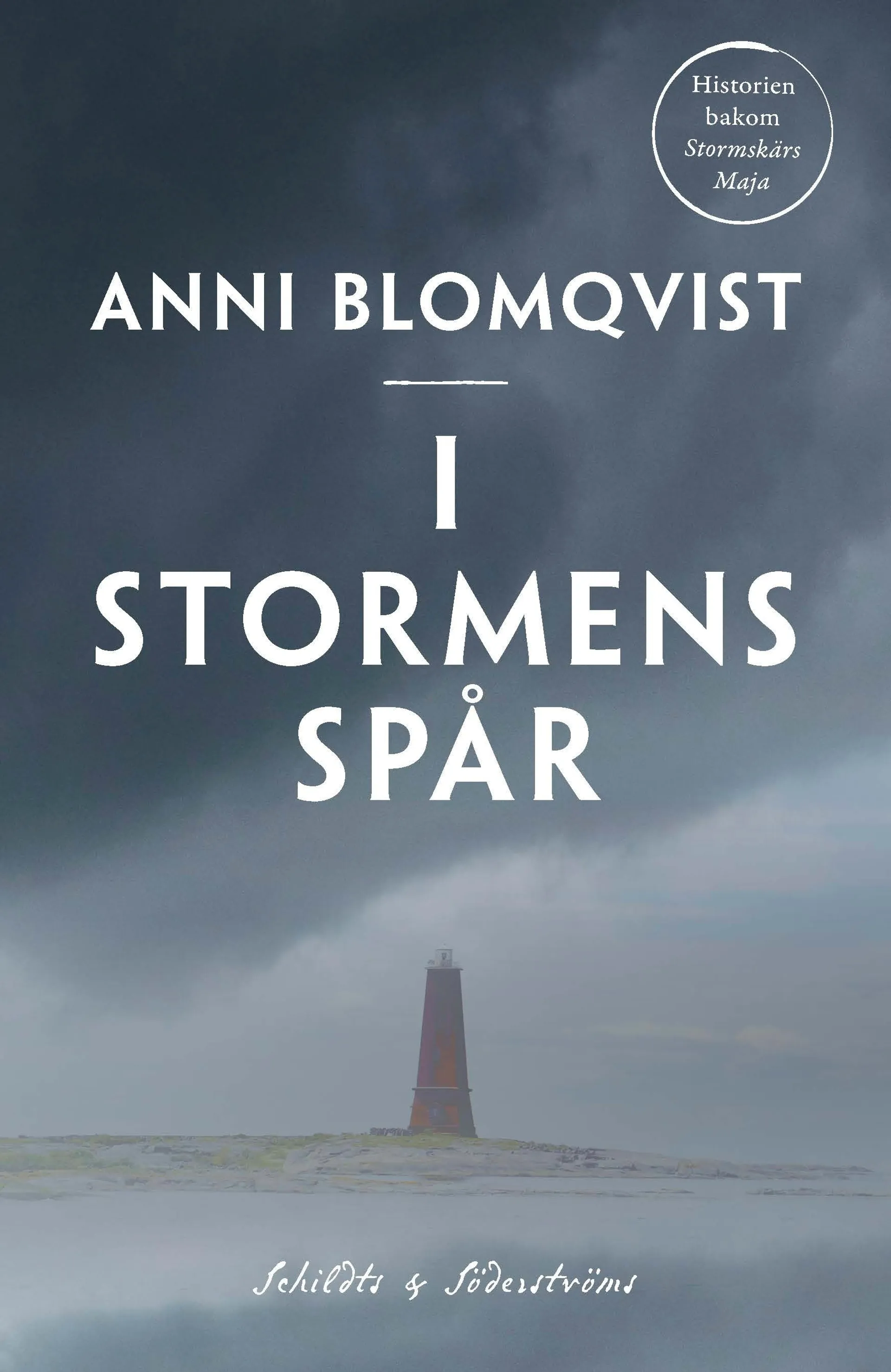 Blomqvist, I stormens spår