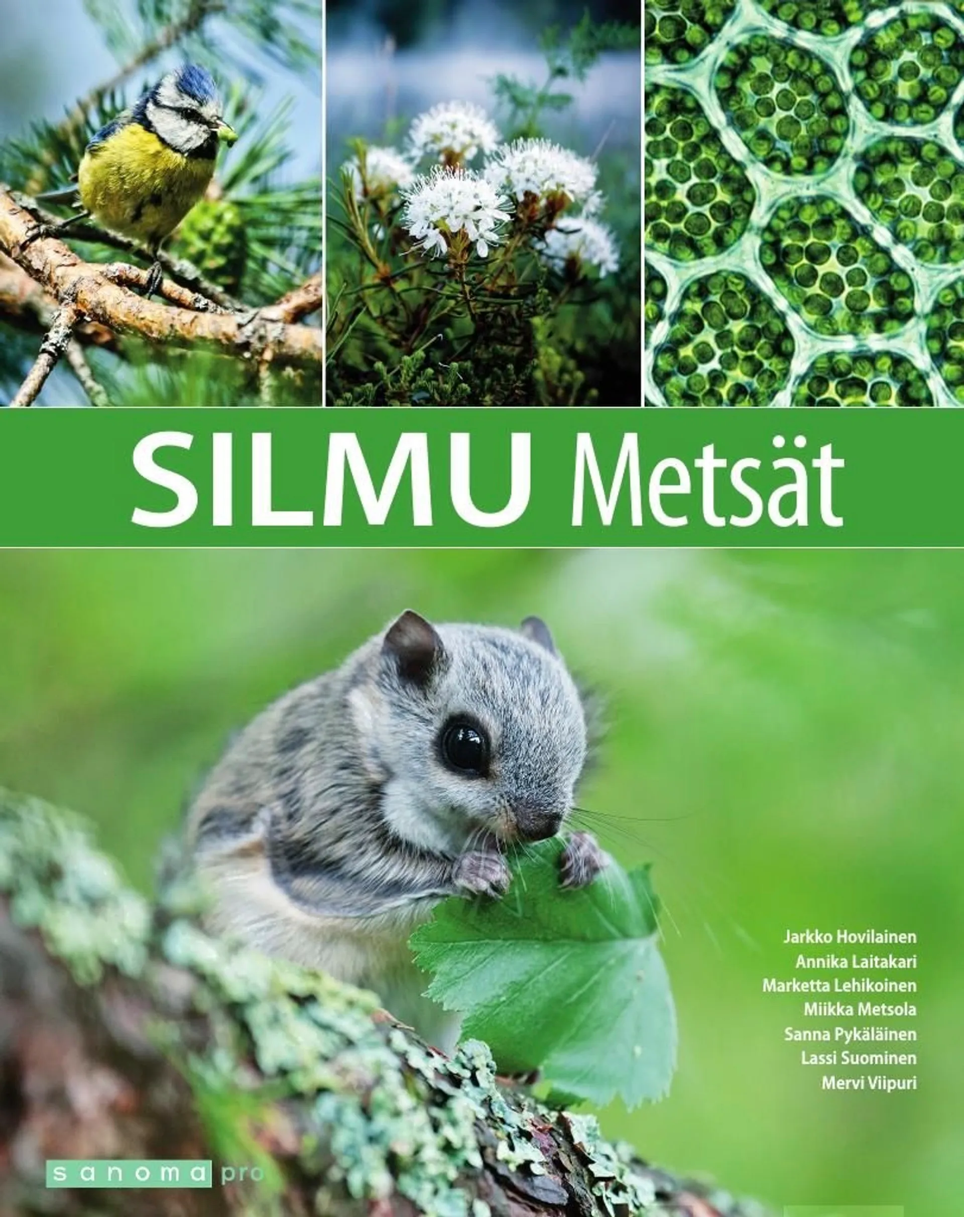 Hovilainen, Silmu Metsät