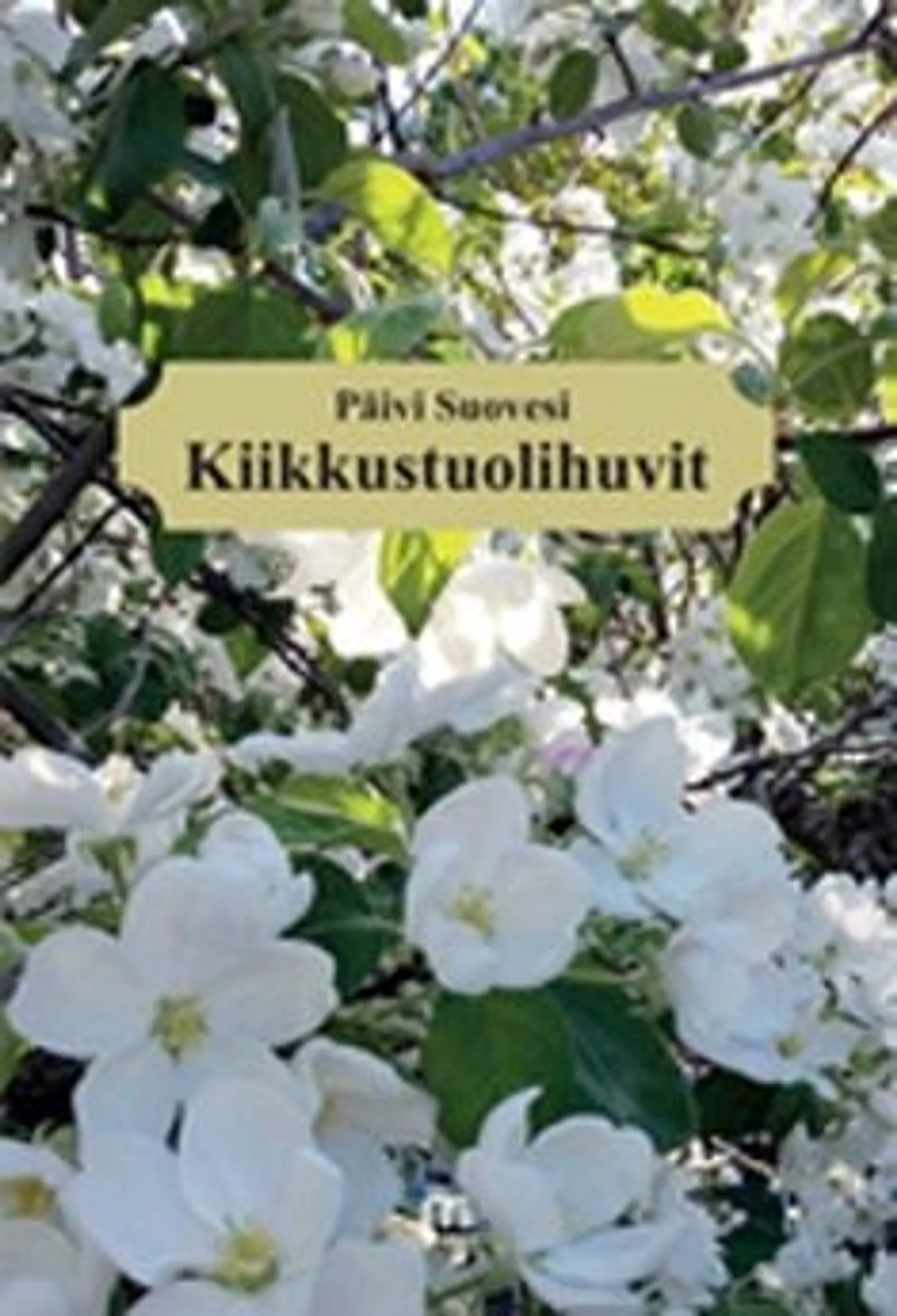 Suovesi, Kiikkustuolihuvit