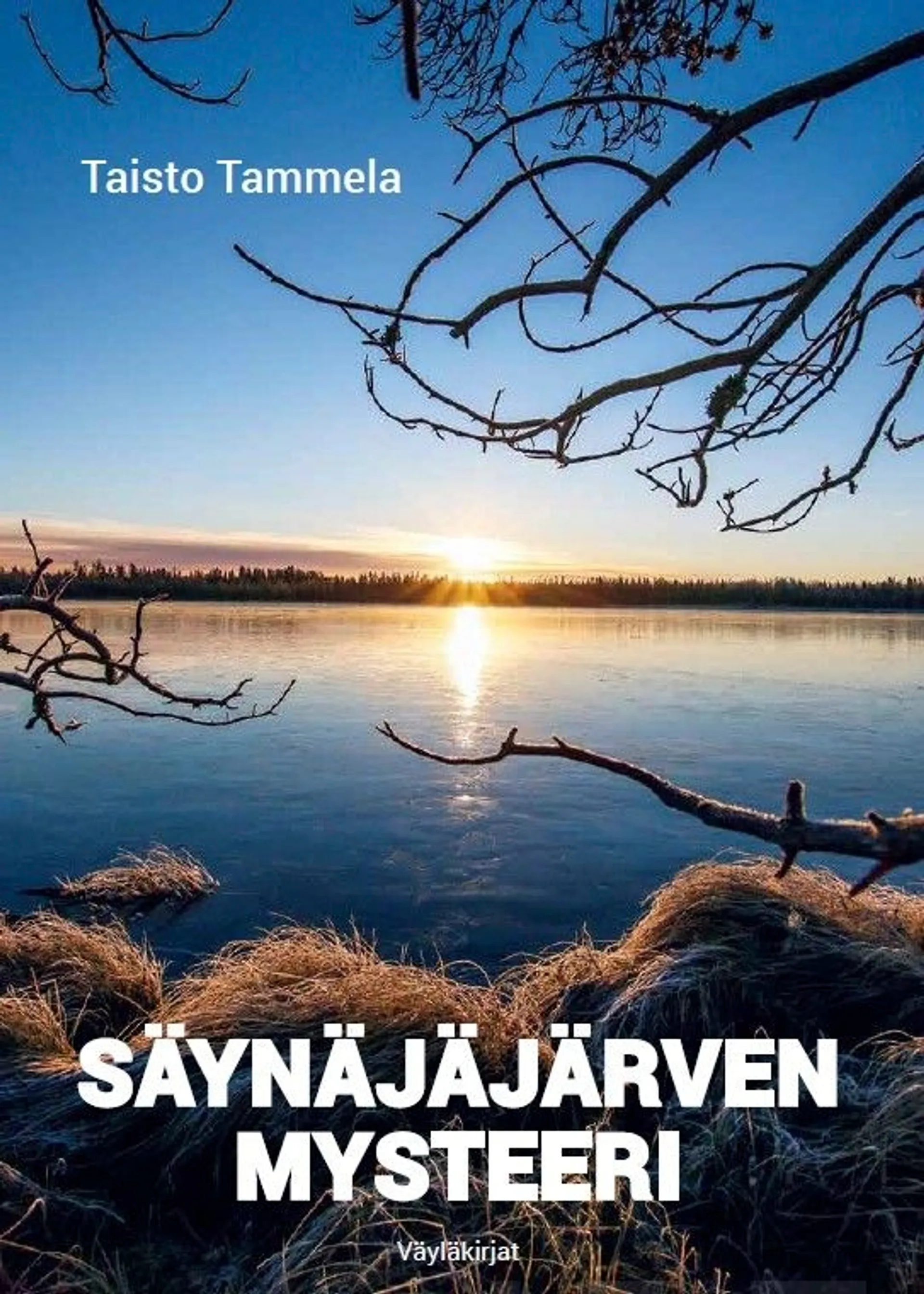 Tammela, Säynäjäjärven mysteeri