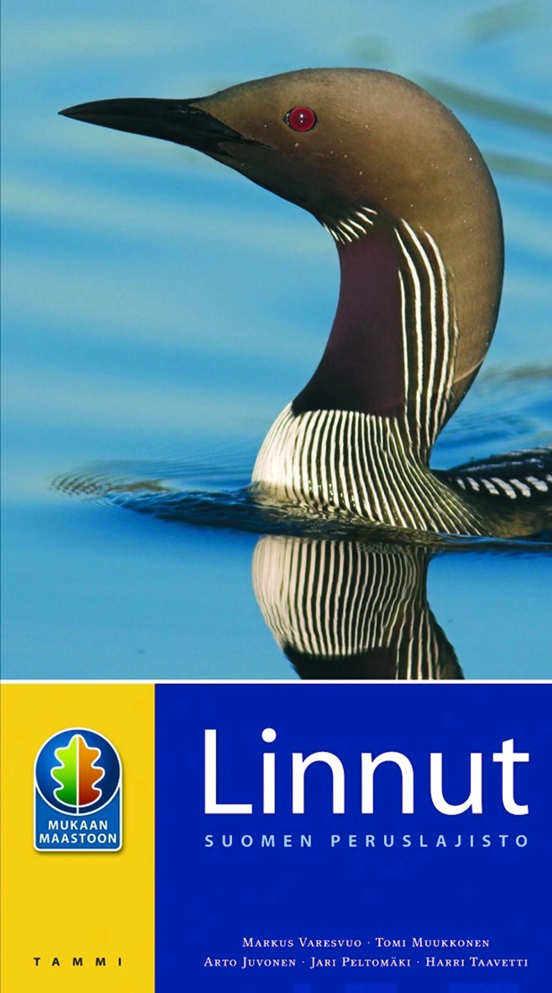 Linnut