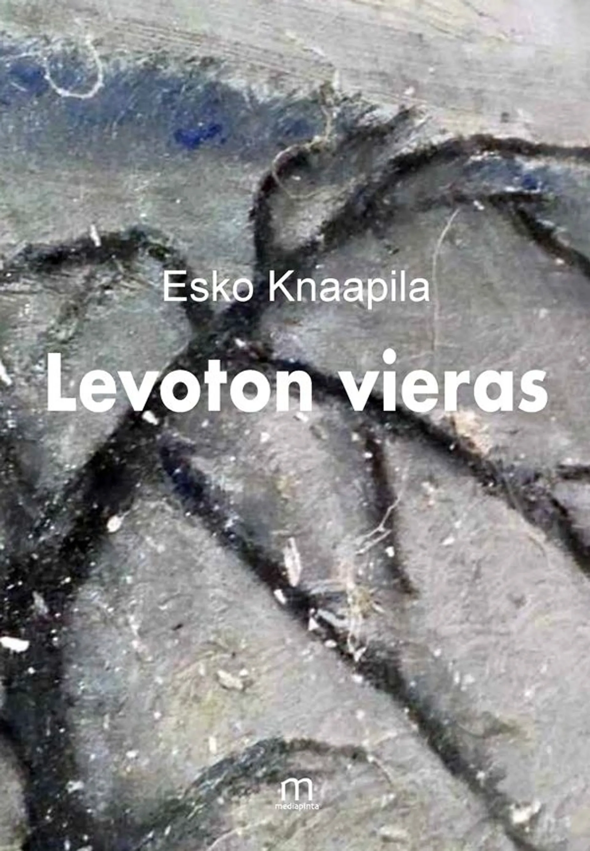 Knaapila Esko, Levoton vieras