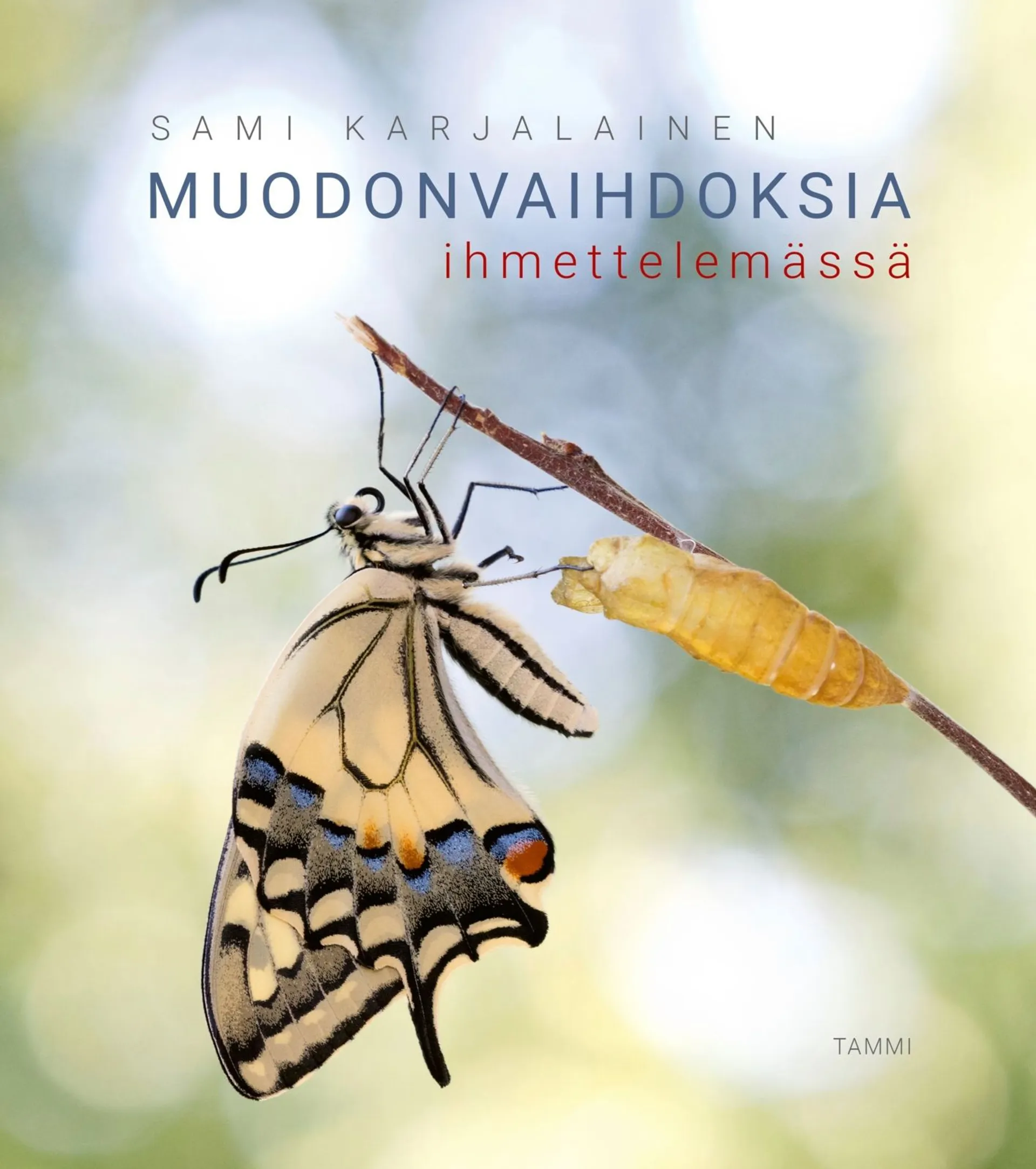 Muodonvaihdoksia ihmettelemässä