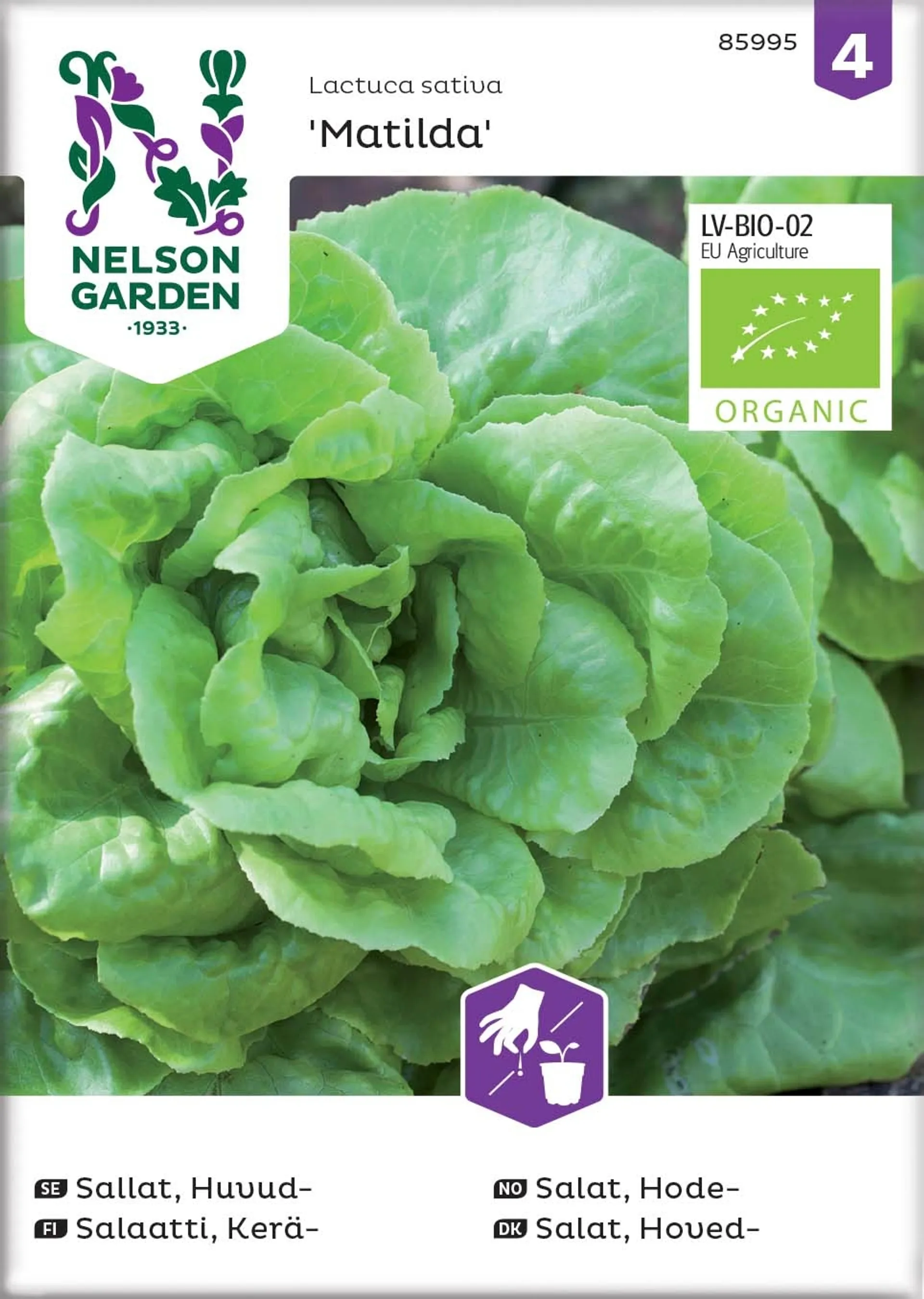 Nelson Garden Siemen Salaatti, Kerä-, Matilda, luomu