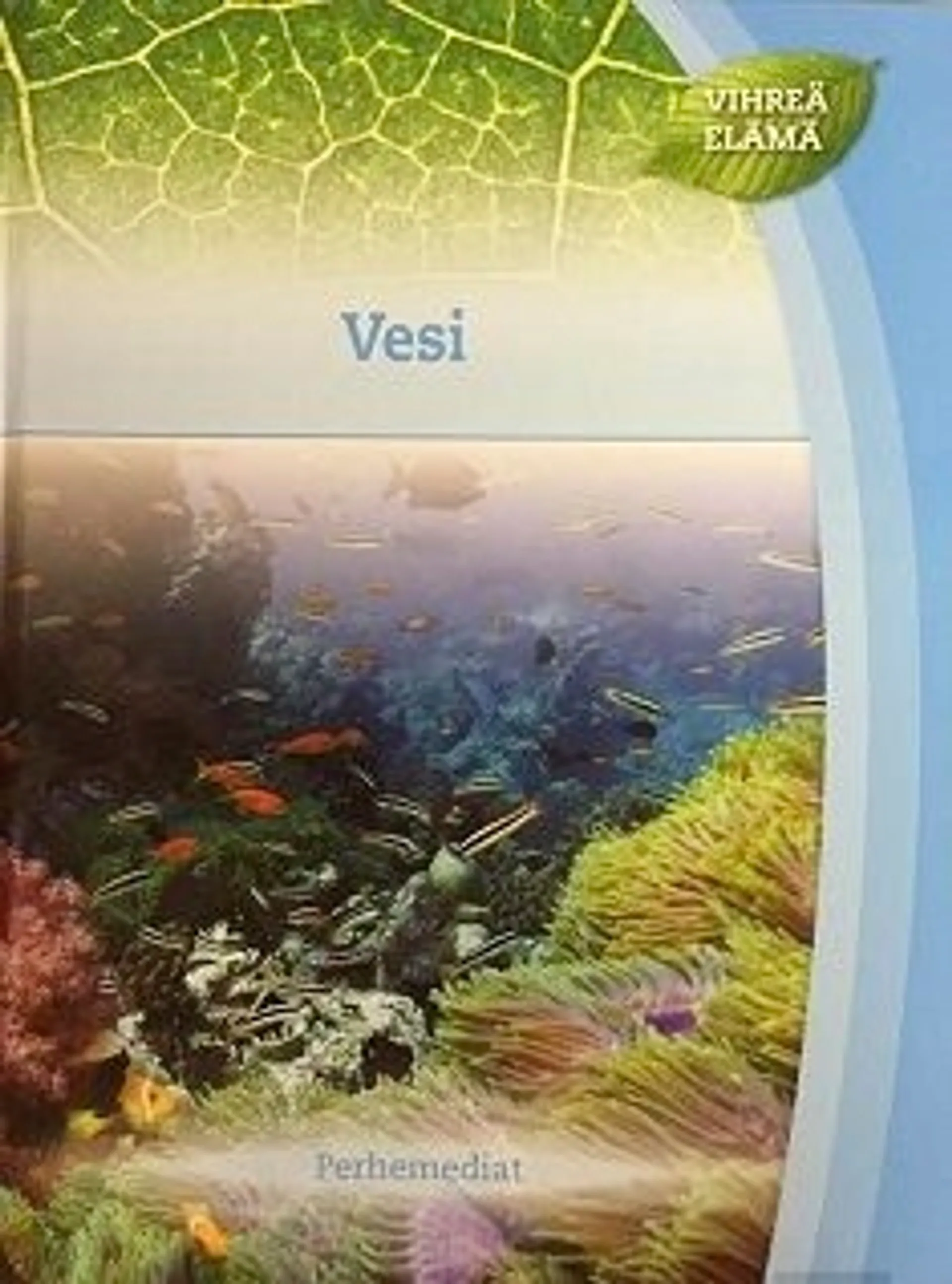 Vesi