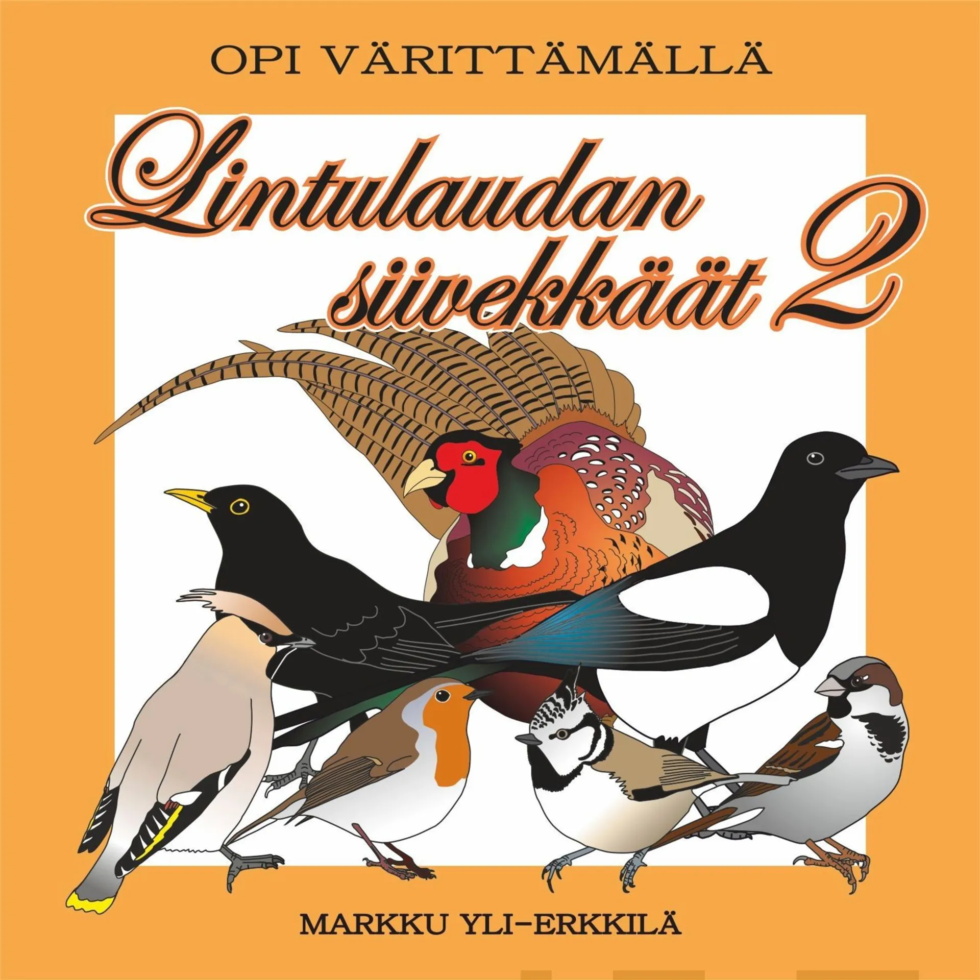 Lintulaudan siivekkäät 2