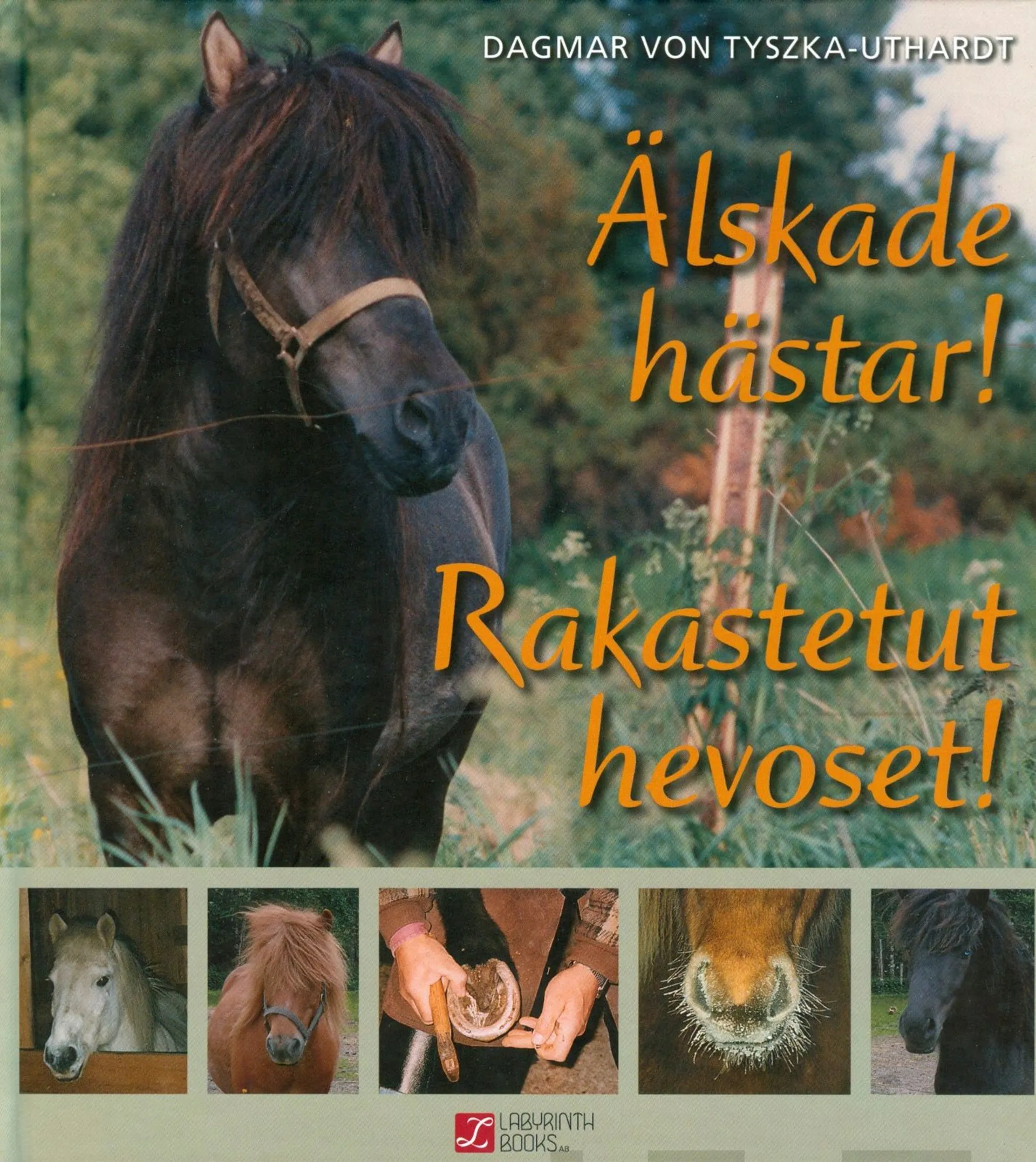 Tyszka-Uthardt, Älskade hästar! - Rakastetut hevoset!