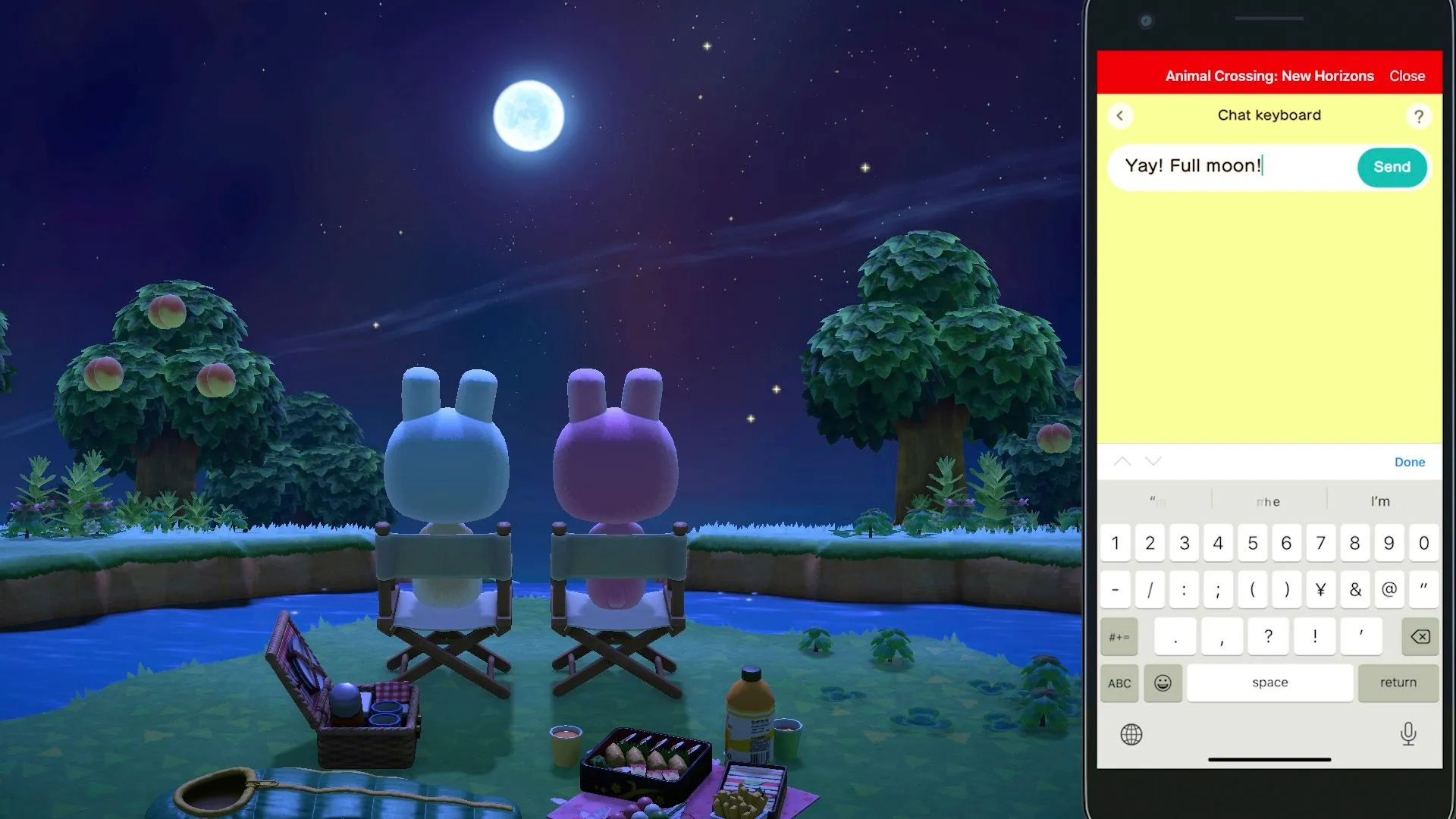 Nintendo Switch Animal Crossing: New Horizons - 7