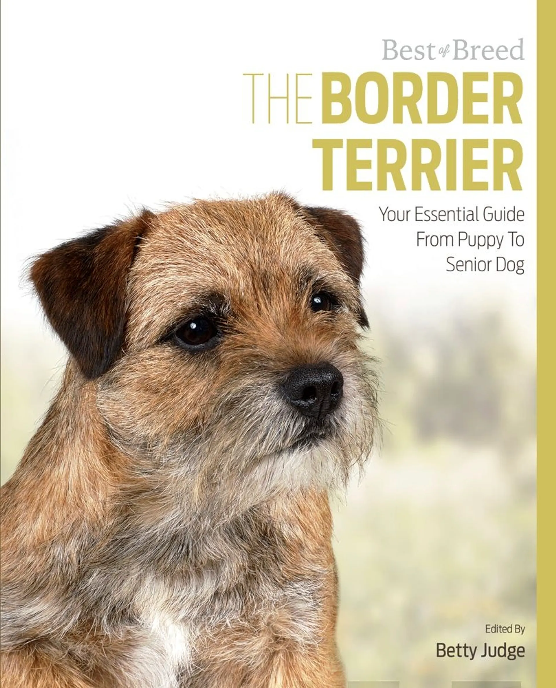 Judge, The Border Terrier - Your Essential Guide From Puppy to Senior Dog